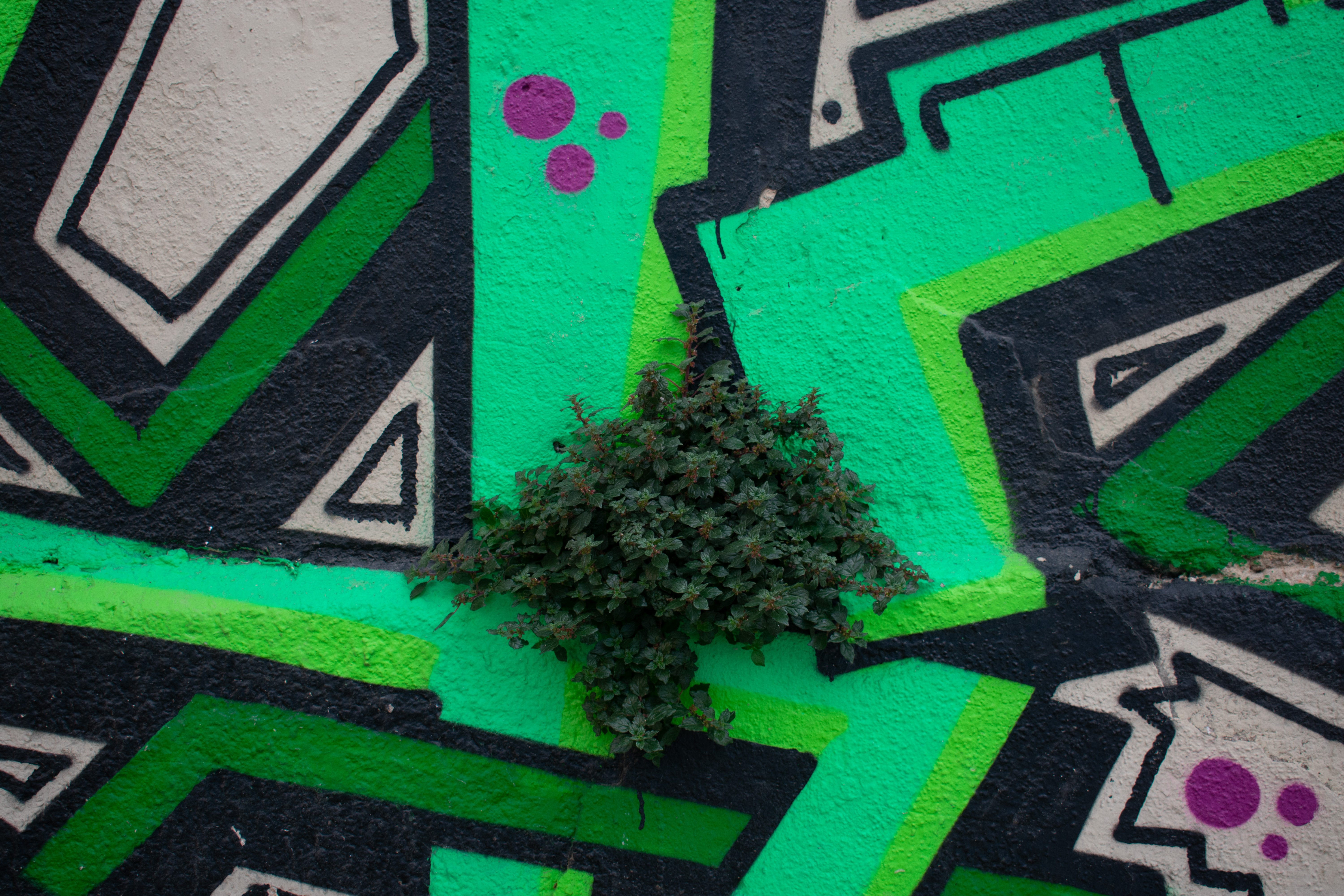 Le Panier: Walking tour at the Marseille's oldest neighbourhood  - Photo 5