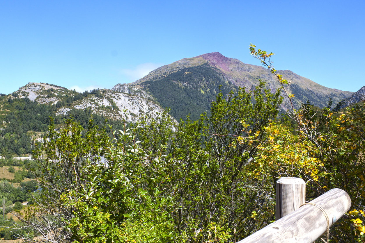 Senderismo por la Olla de Estiviellas y el Bosque de Canfranc. (Tour privado)