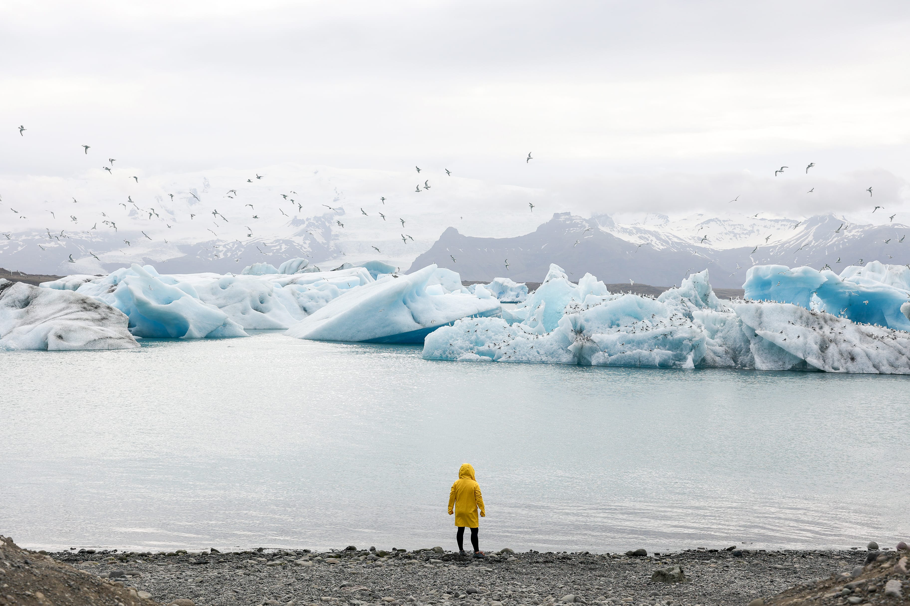 Private Glacier Lagoon, Diamond Beach & South Coast - photo 13