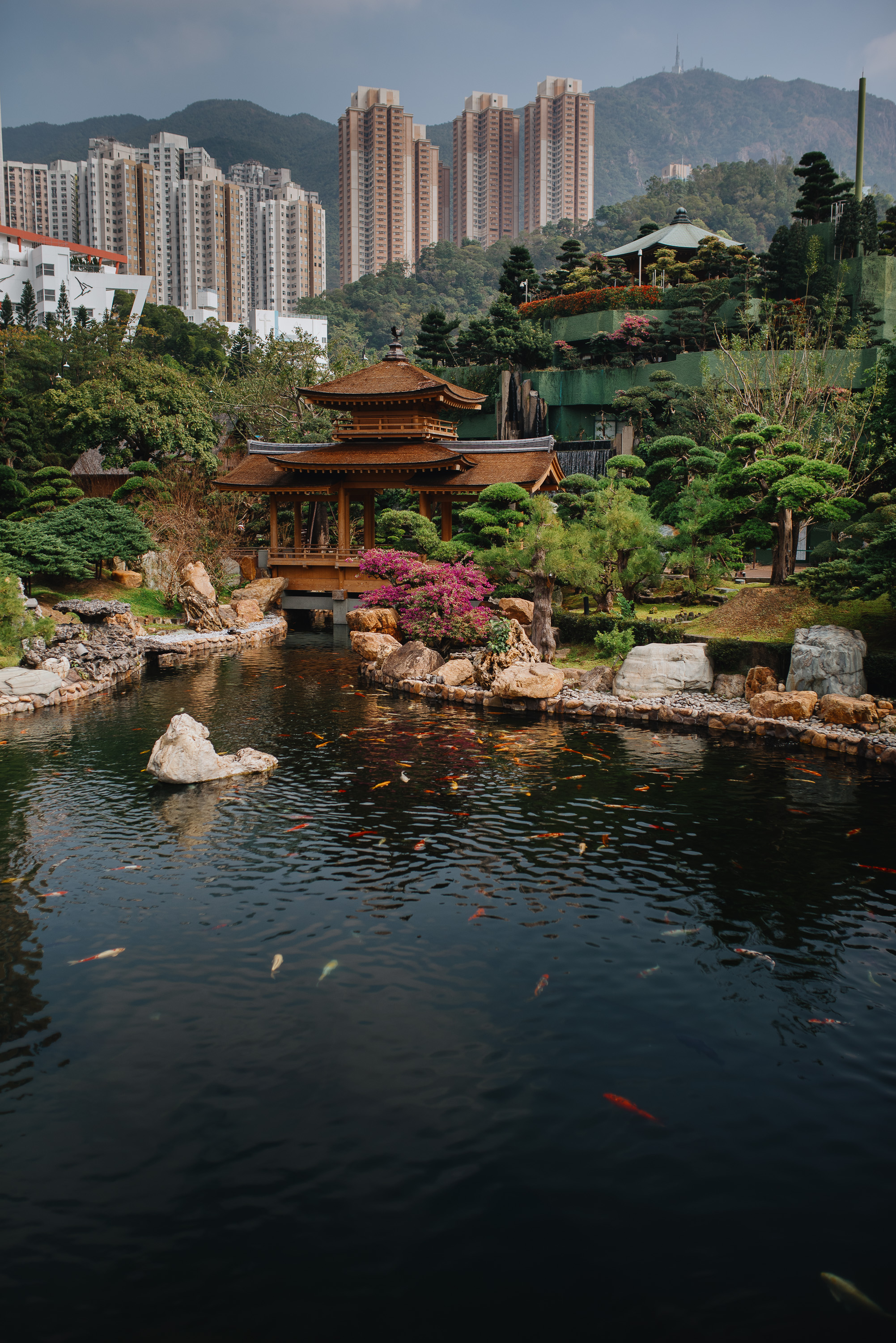 Guided Tour of Kowloon and Hong Kong Island in Private Service - Accommodations in Hong Kong