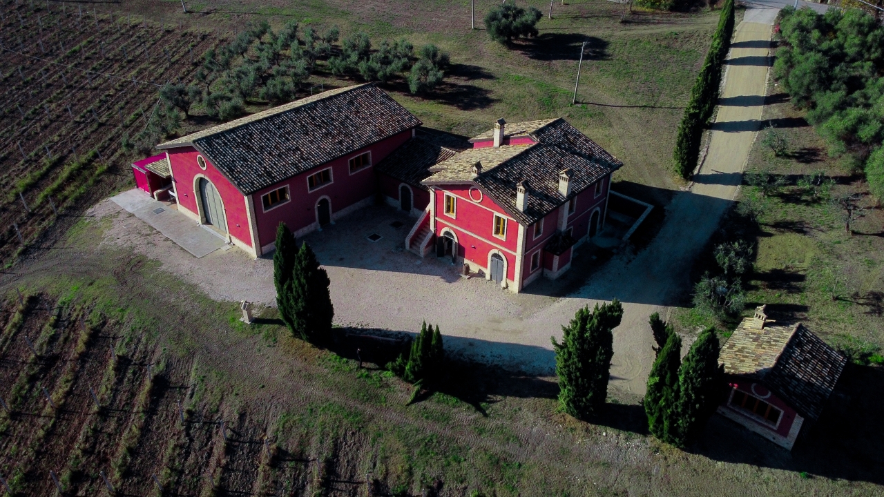 Marche: unique visit and tasting at Cantina D'Erasmo amidst signature wines - Photo 3