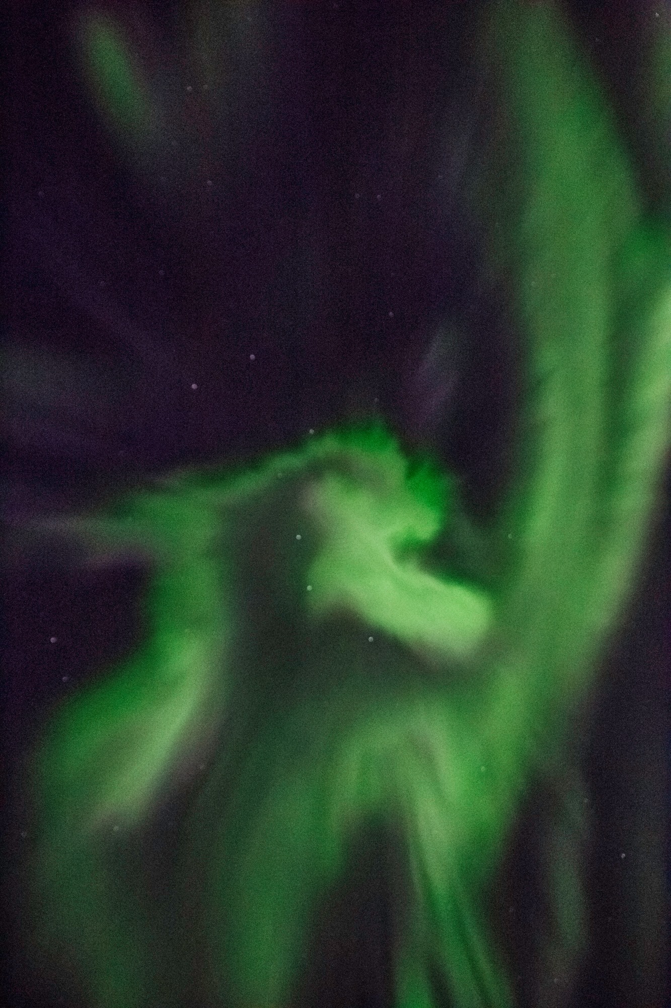 Private Combo 2in1 tour Golden Circle - Northern light hunt 12h  - photo 12