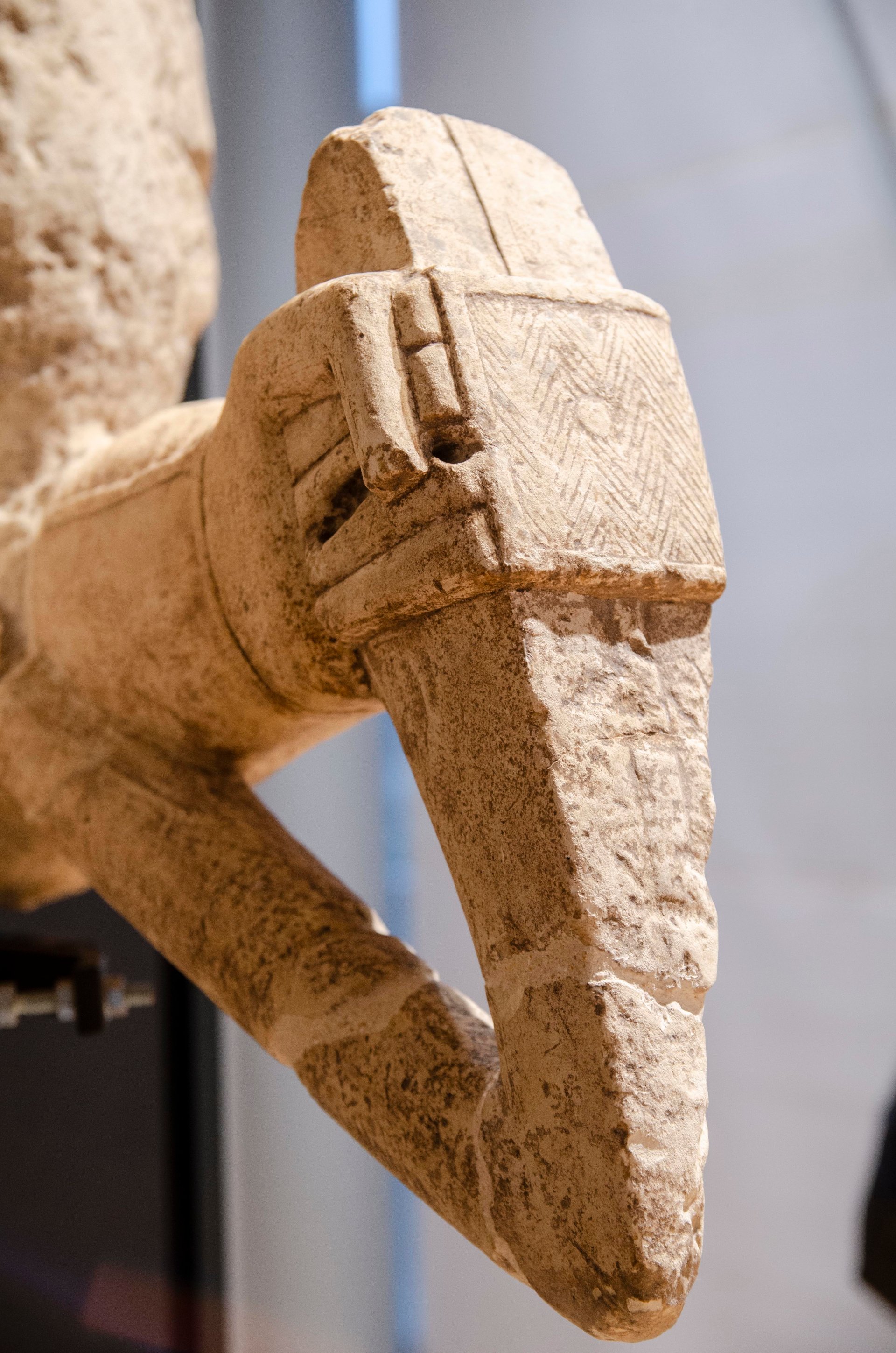 Cagliari: tour of the historic centre and visit to the Archaeological Museum - Photo 11