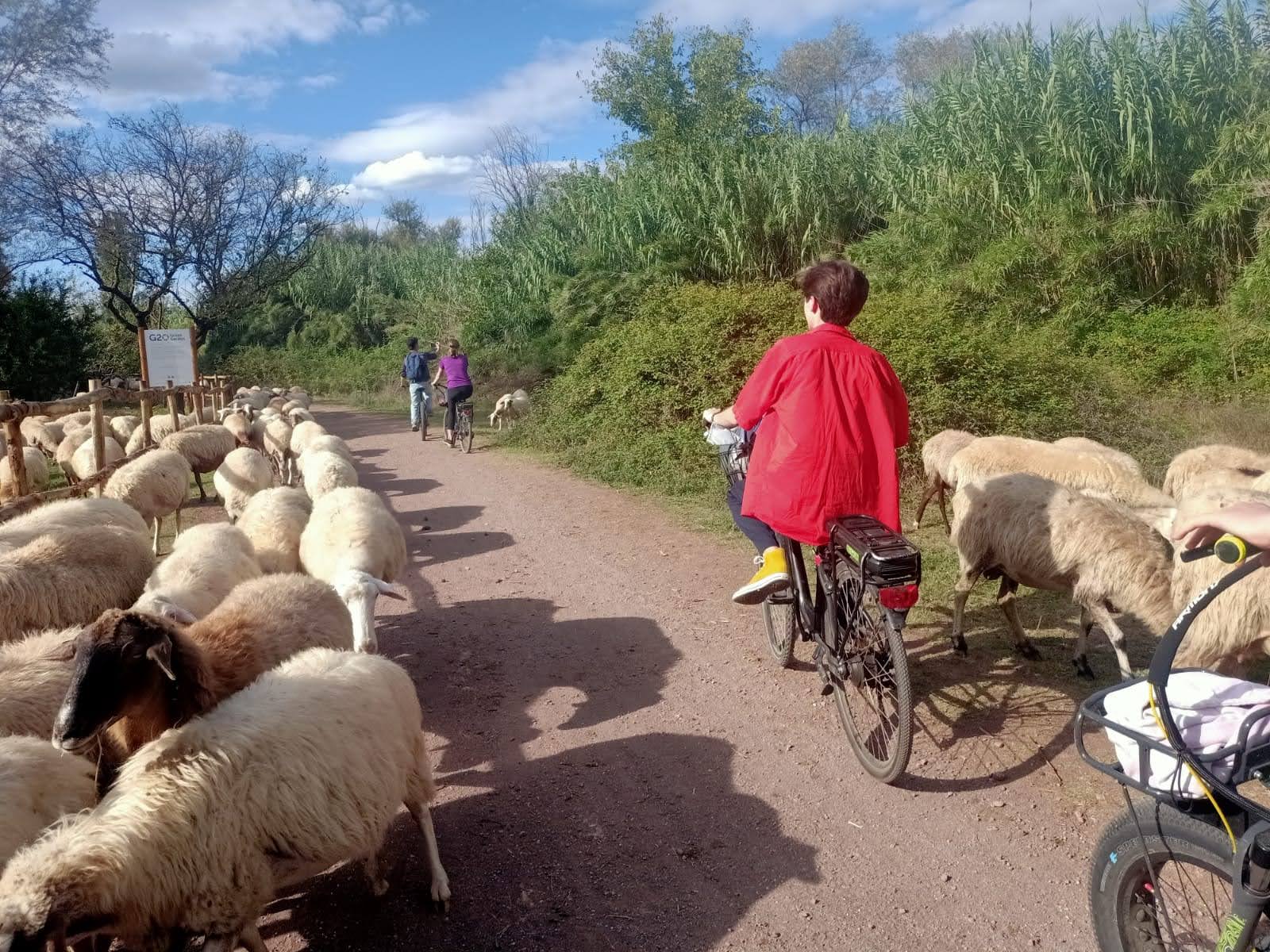 Appia Antica, Aqueduct Park and Catacombs: a ride between history and nature - Photo 5