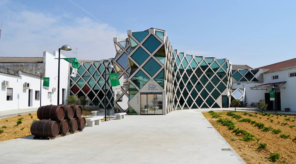From Huelva: El Condado wine region day trip