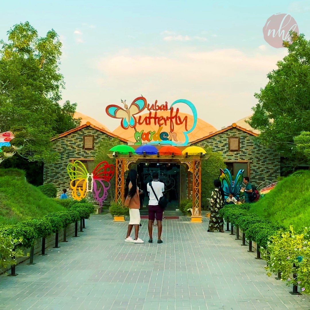 Miracle Garden and Butterfly Garden – Image 3 | WeShare