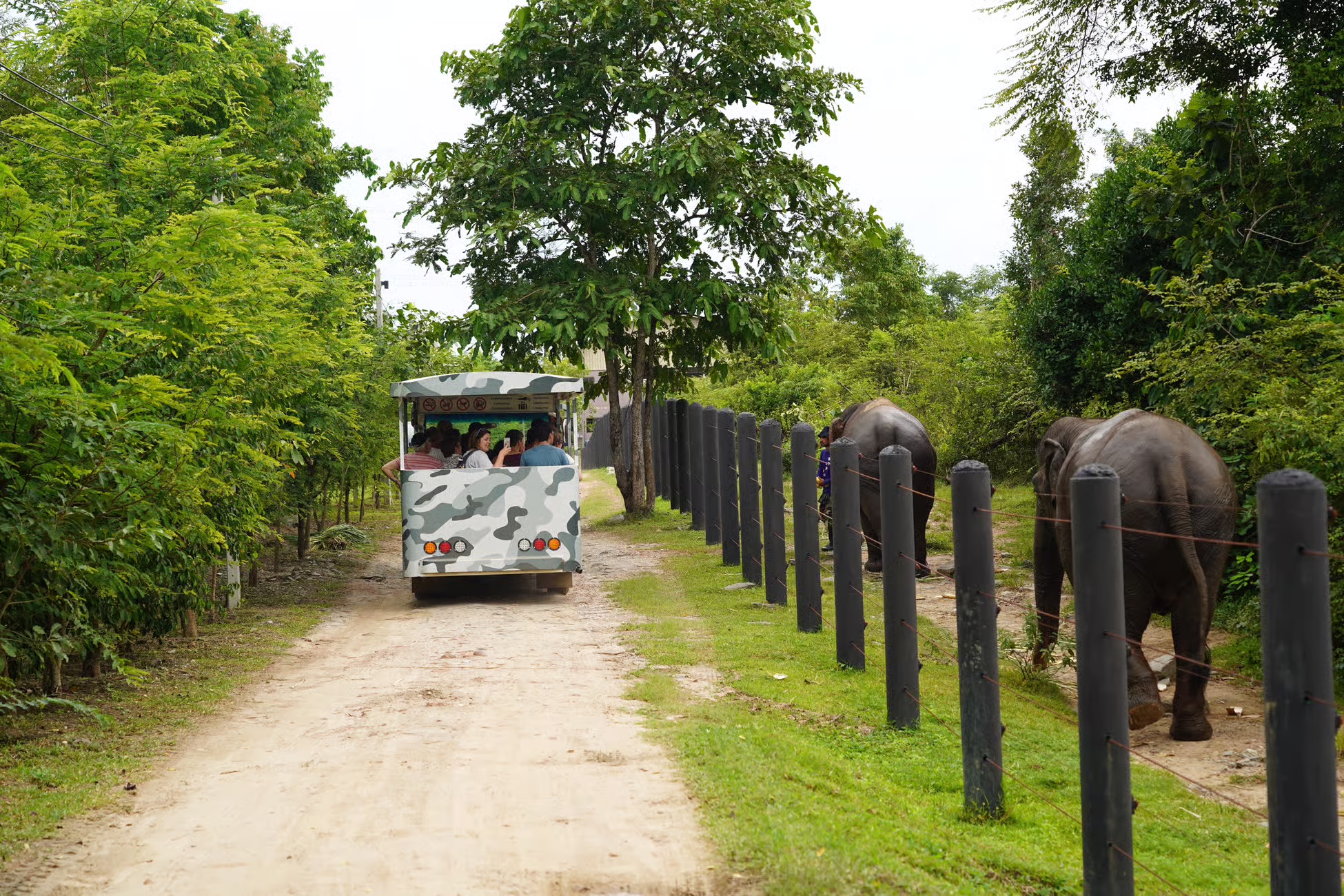 Hua Hin: Wildlife Friends Foundation Thailand Full-Day Visit