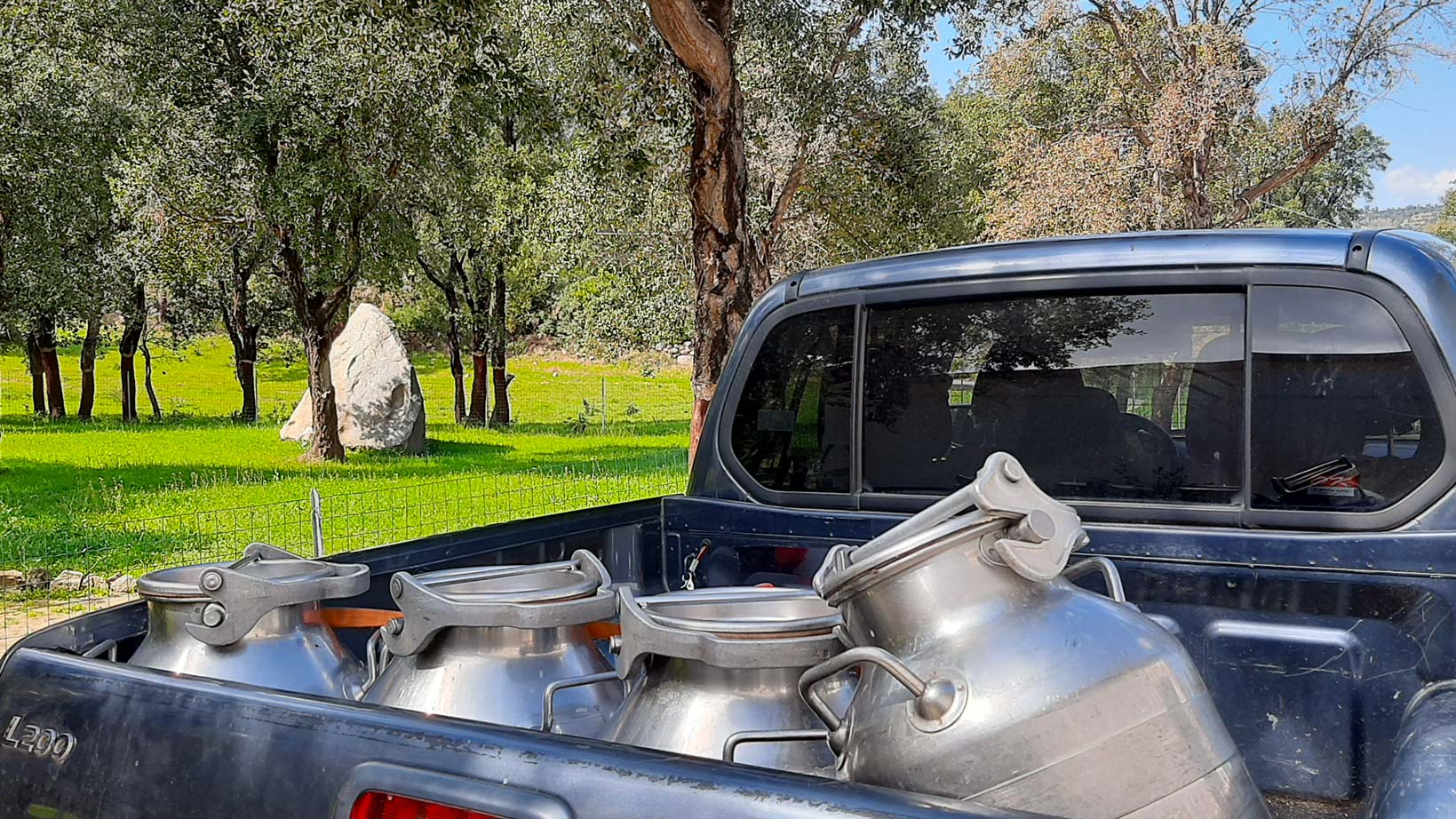 Arzana: Day with a shepherd with lunch in a farm - Photo 6