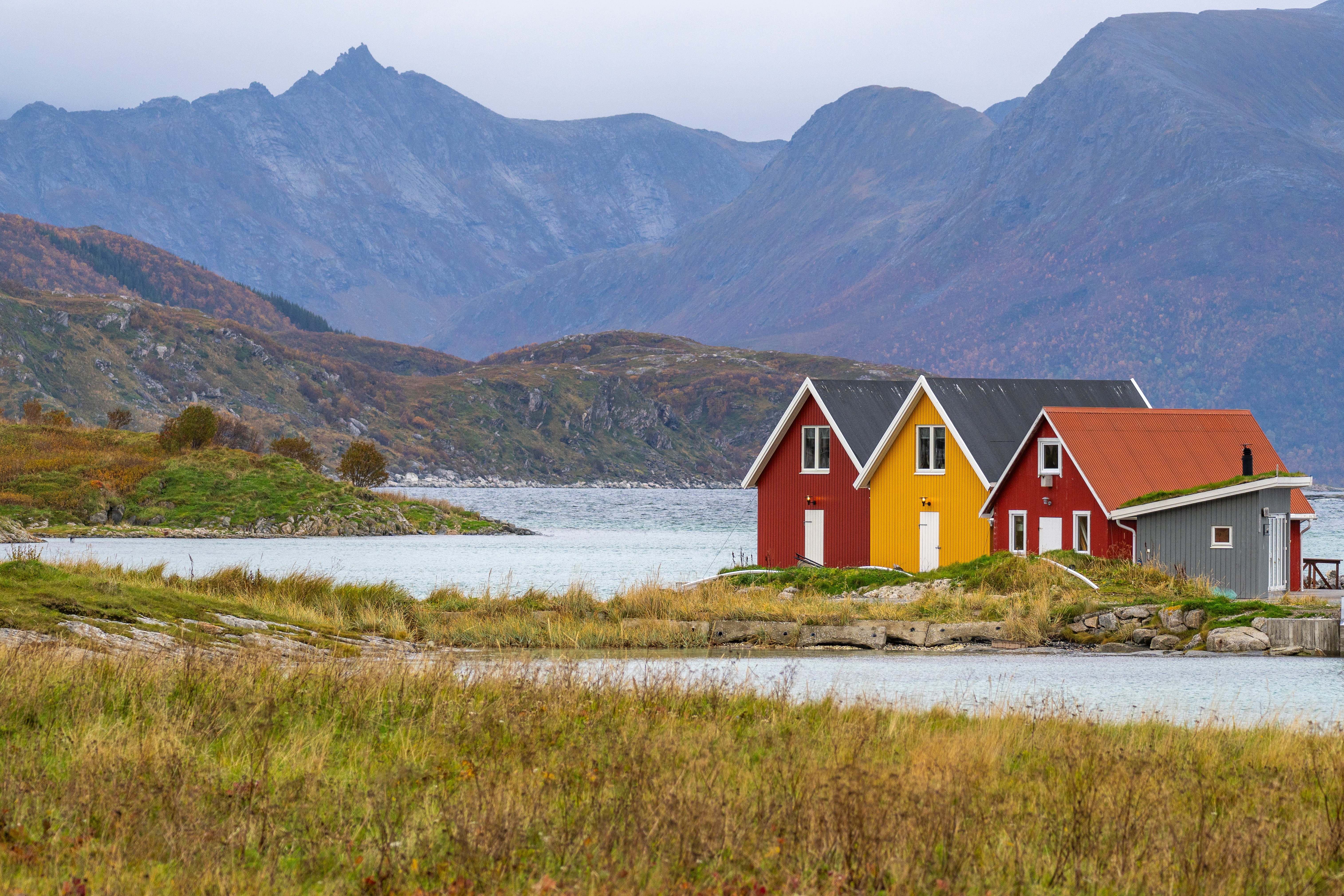 Private Arctic Fjords Tour & Sommarøy Islands (Half-day trip)