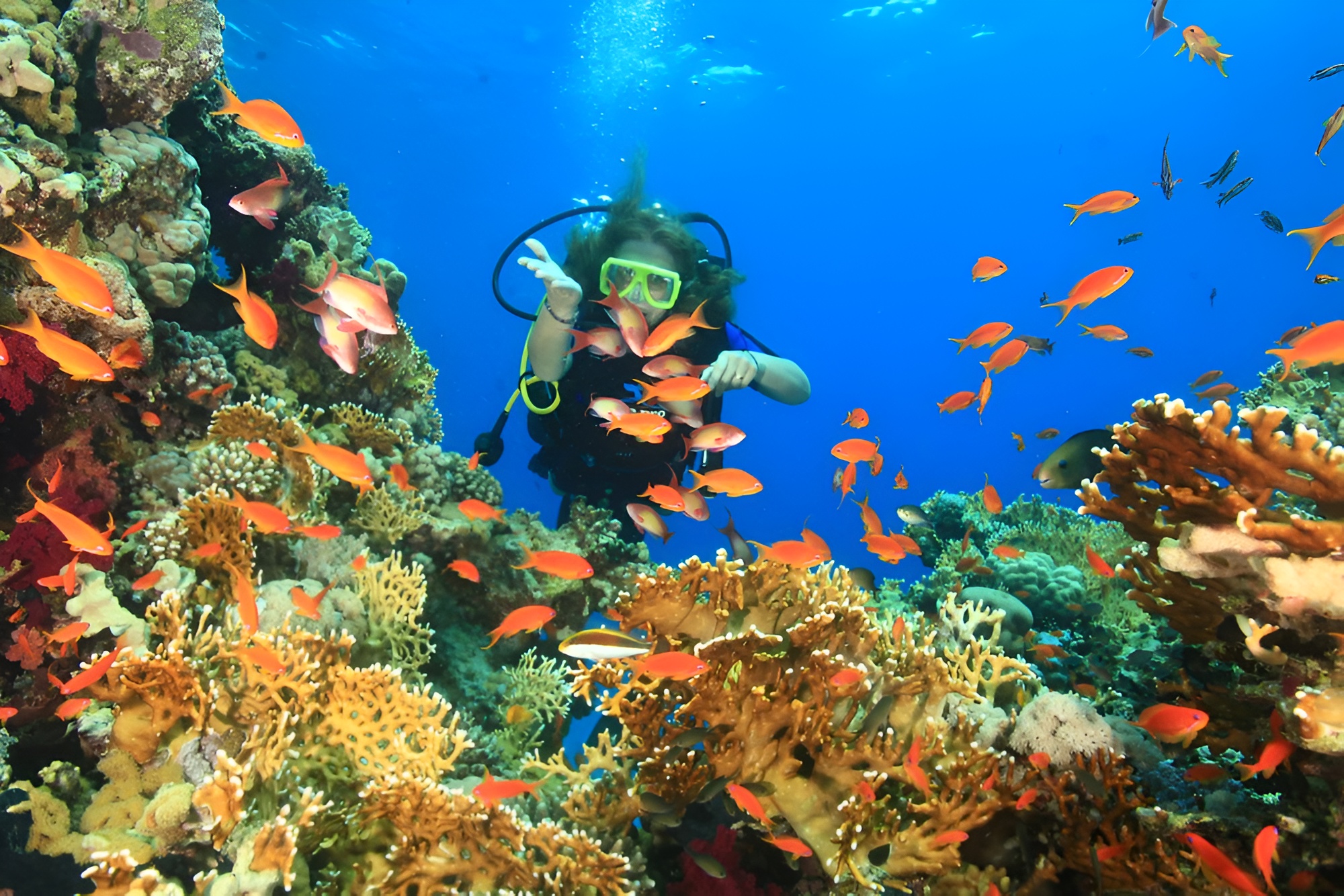 Trip to Tiran Island 