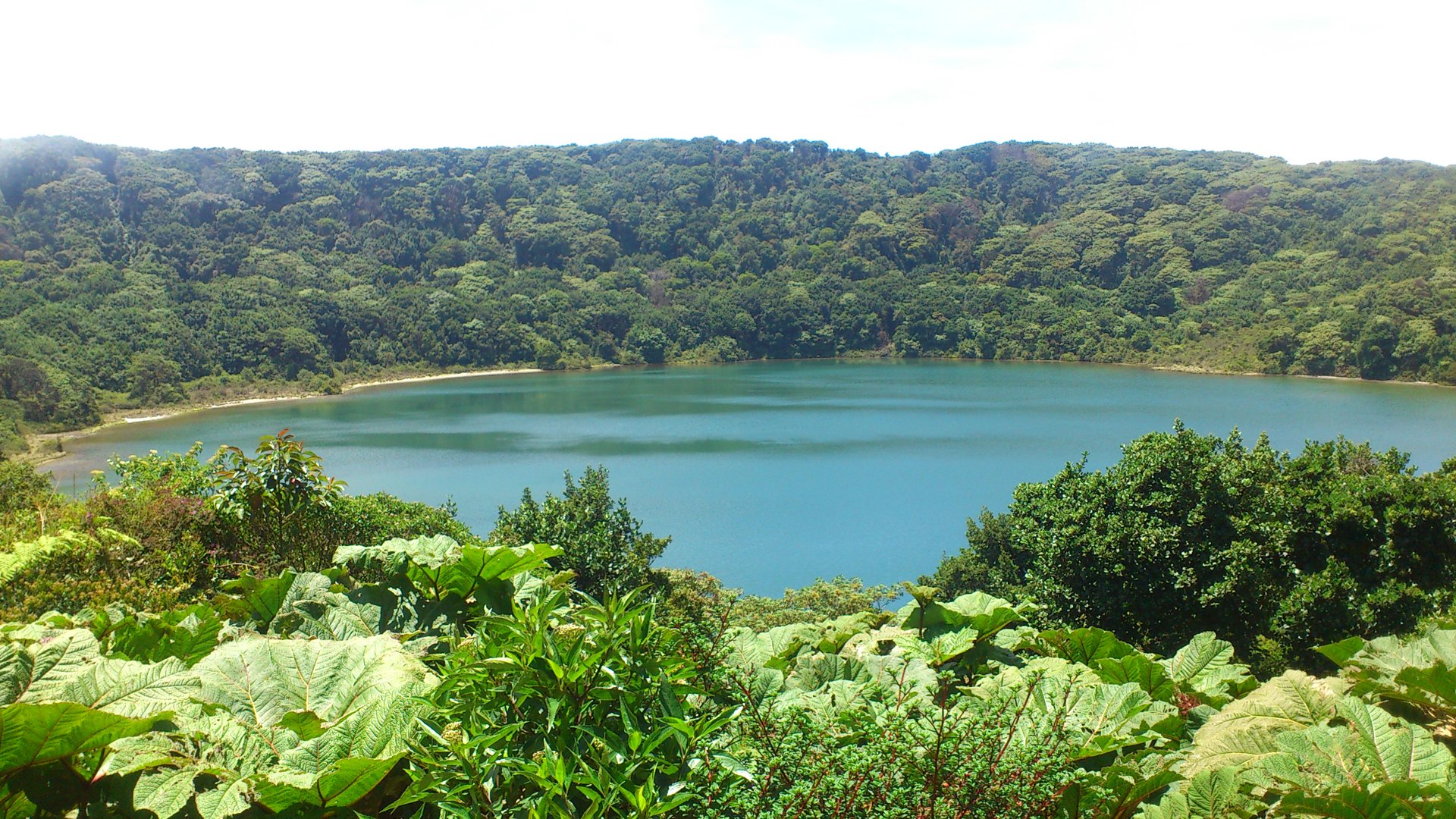 Pura Vida Escape 7-Day Costa Rica Private Tour: Arenal & Monteverde | Medium – photo 4