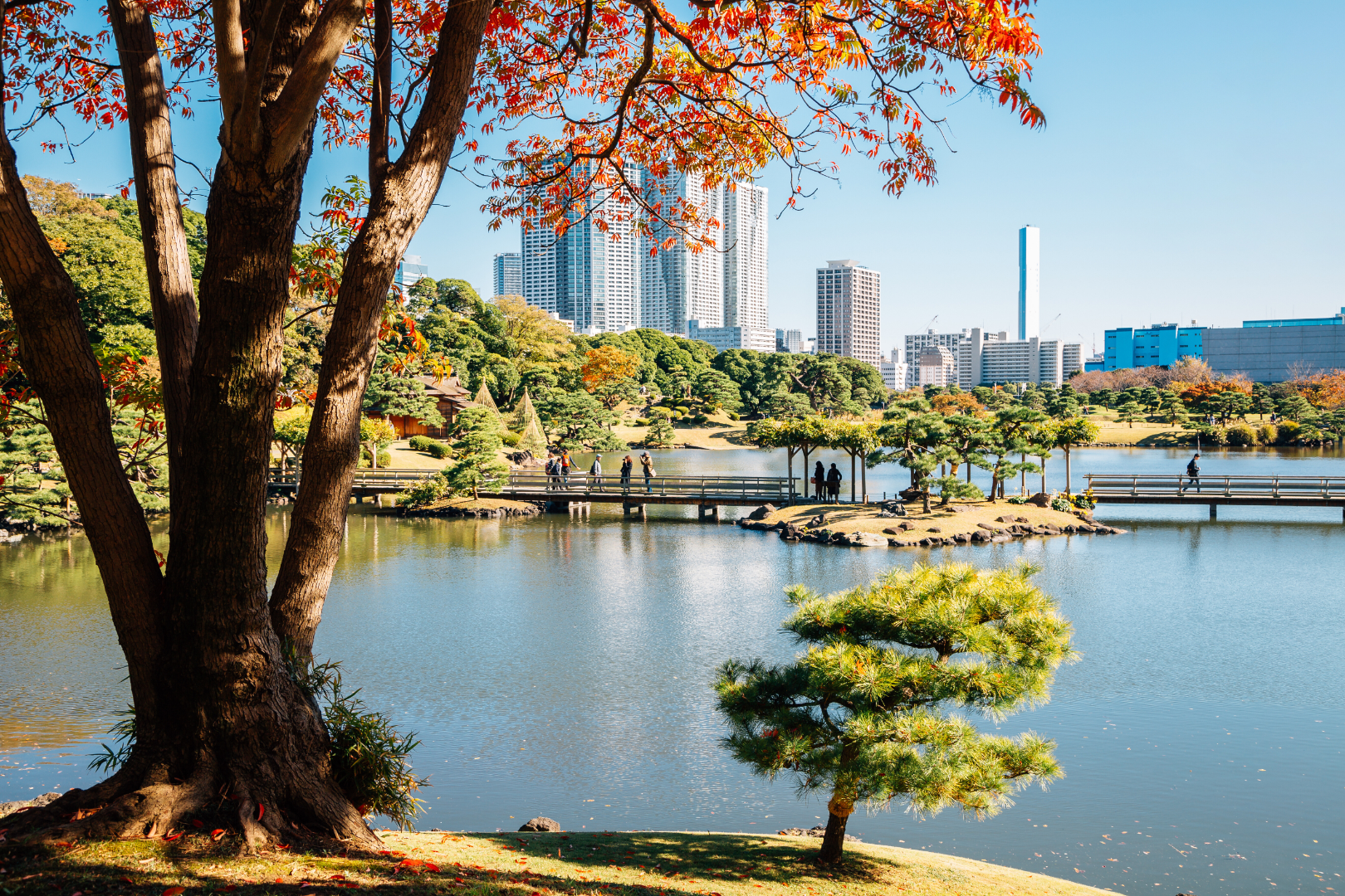 Asakusa Su Busesi, Sensoji, Sumida Nehri, Hama-Rikyu Bahçesi, Shibuya Kavşağı| Tokyo Klasik Turu