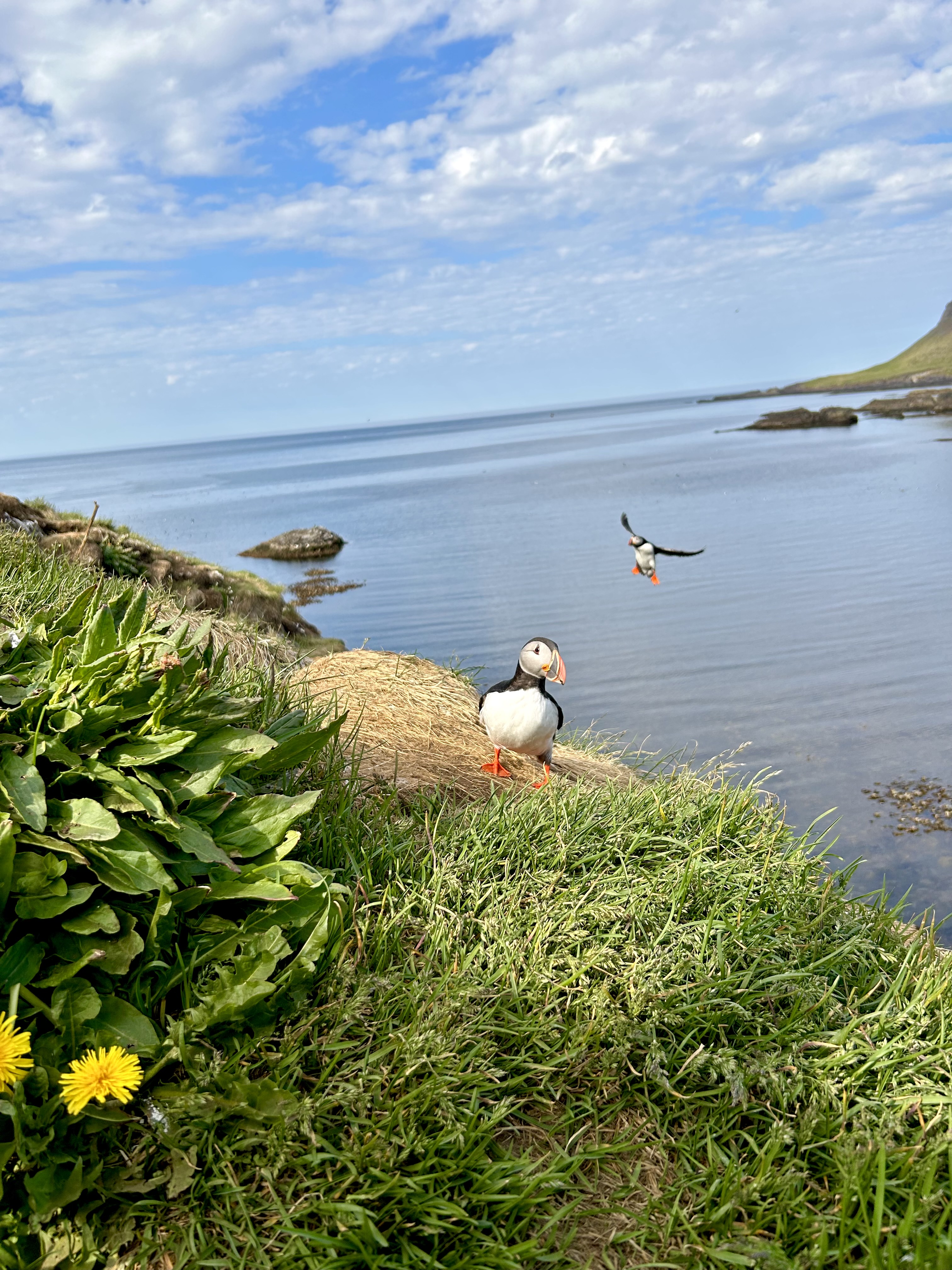 Secret Quest - photo 10