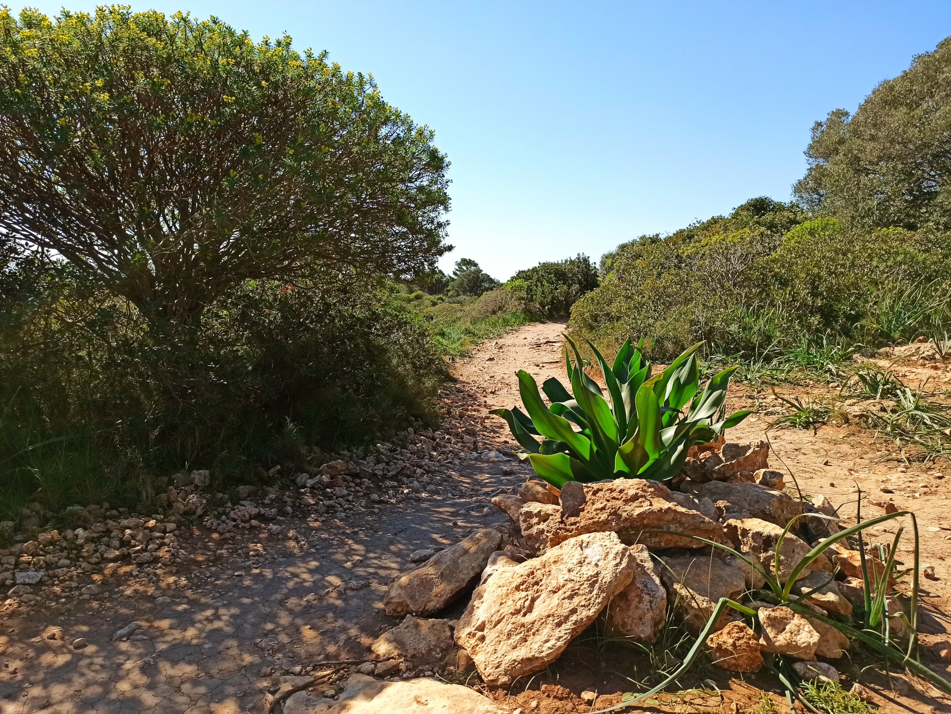 Cagliari: trekking to the Sella del Diavolo - Photo 8