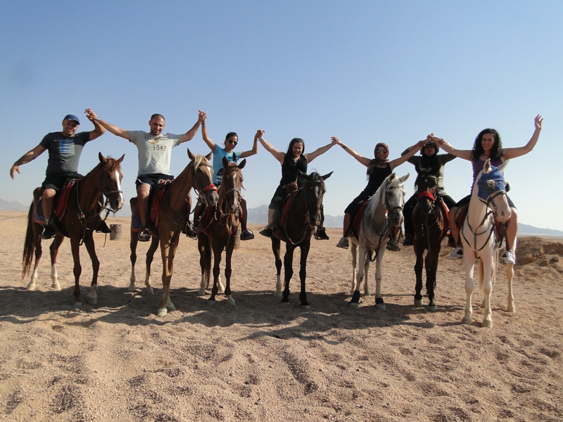 Horse Ride in Sharm EL Sheikh Desert one Hour Trip