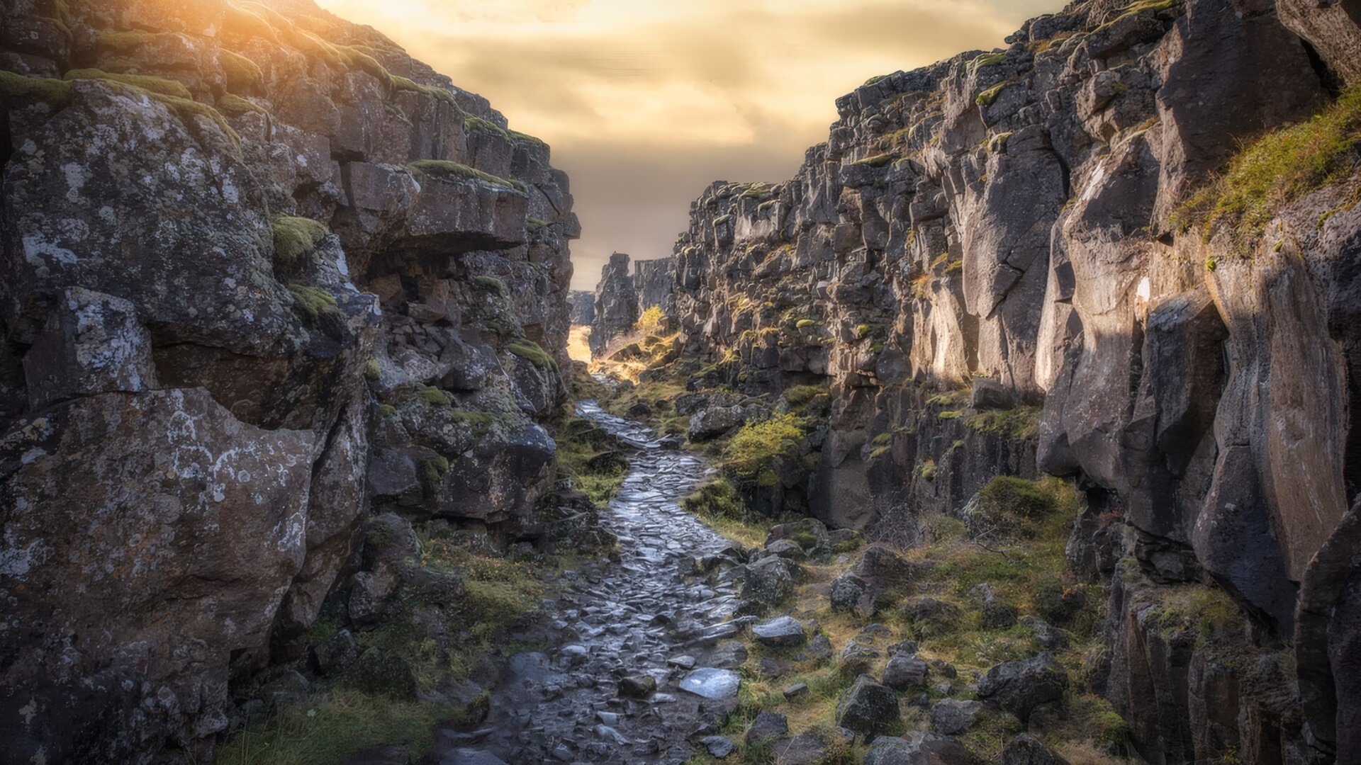 Golden Circle Day Tour with Friðheimar Farm - photo 7
