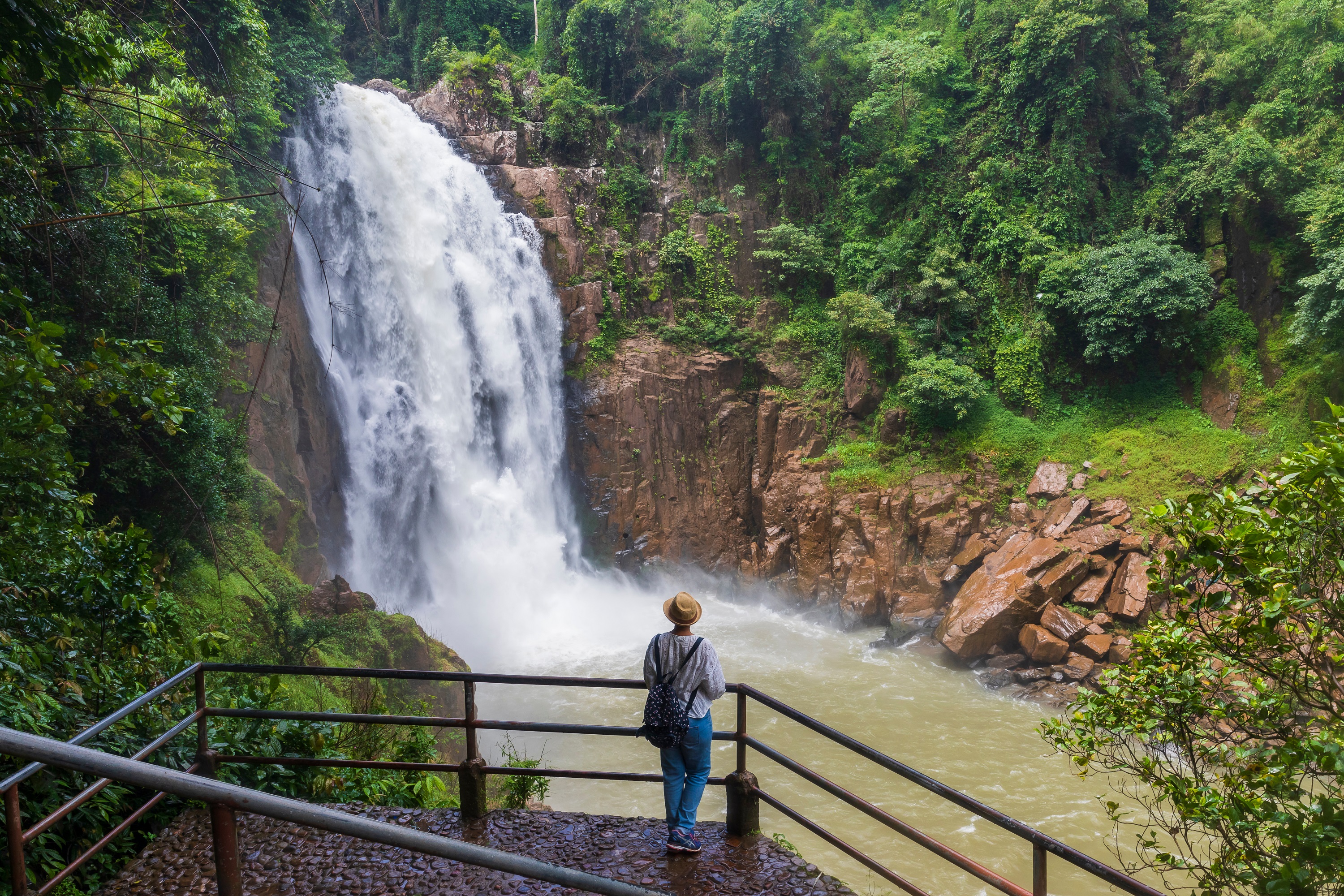 Khao Yai National Park Tour with Waterfalls from Bangkok: Semiprivate or Private Option with Pickup
 - Accommodations in Bangkok
