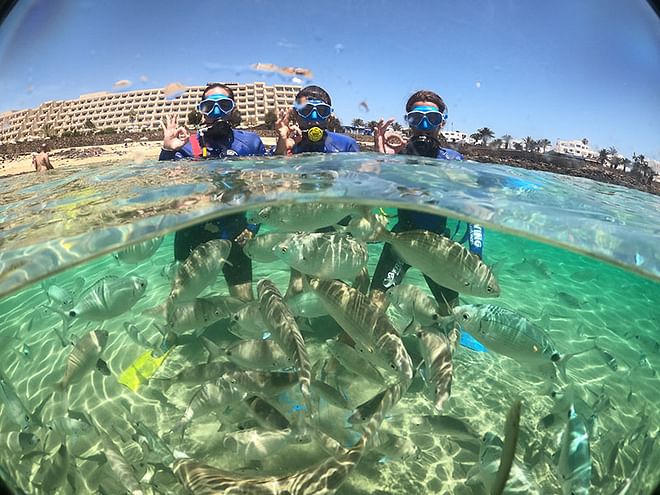 Native Super Snorkel Tour Costa Teguise