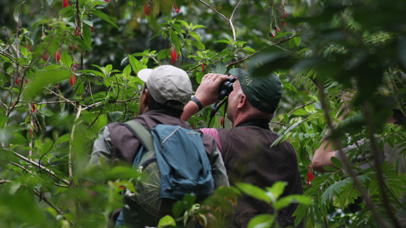 Pmal-01 : Los Secretos de Sandoval- 2 Días en la Selva de Tambopata - Foto 5