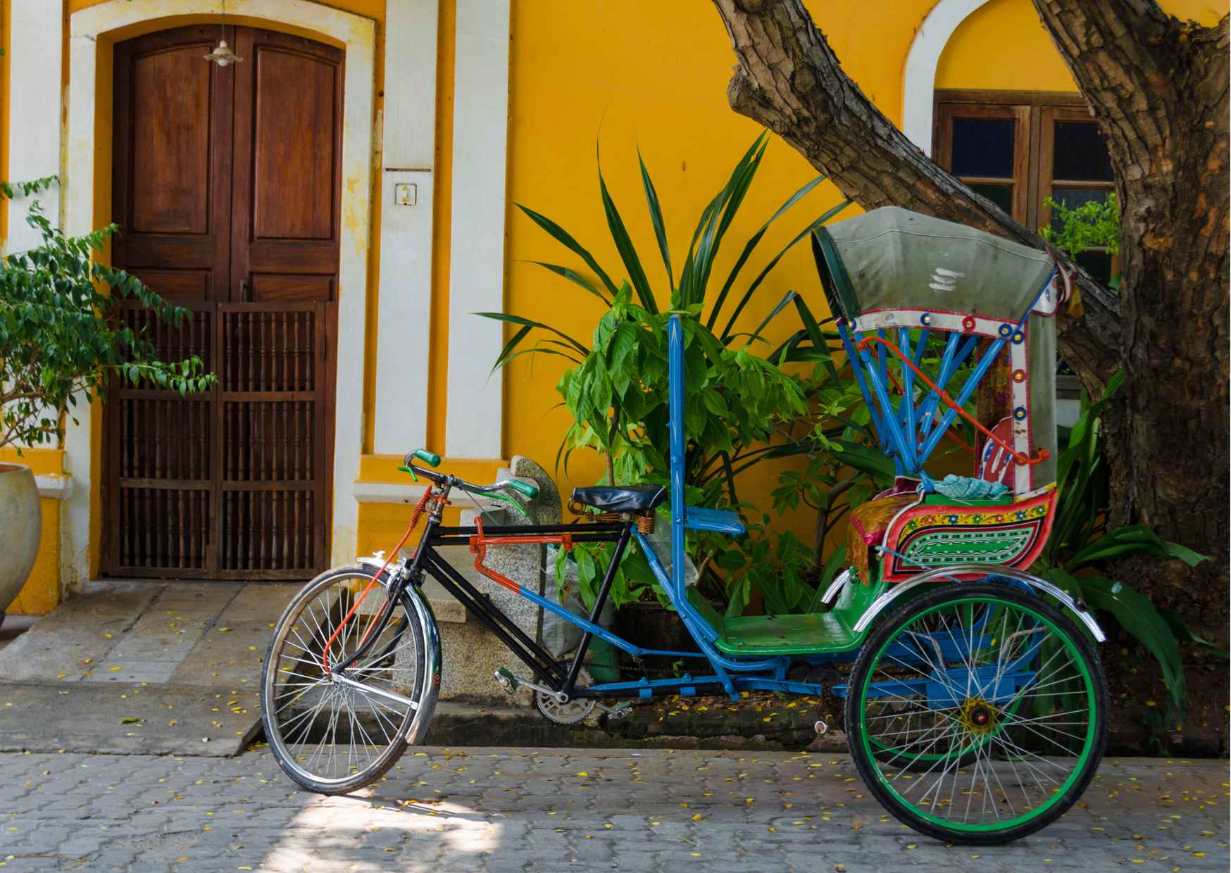 Magical Pondicherry Markets Tour  - Photo 6