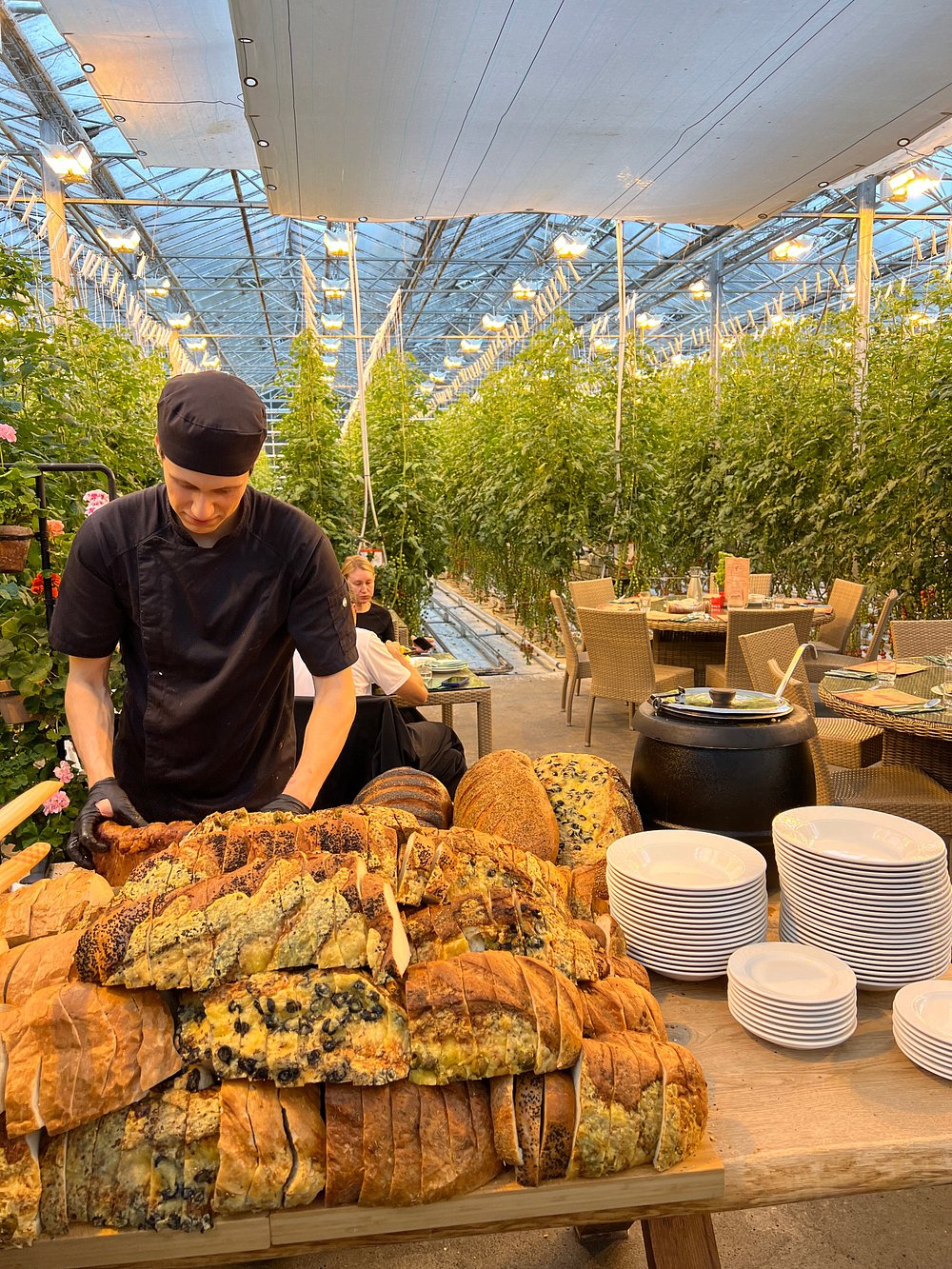 Golden Circle Private Tour & Fridheimar Farm Visit from Reykjavik - photo 13