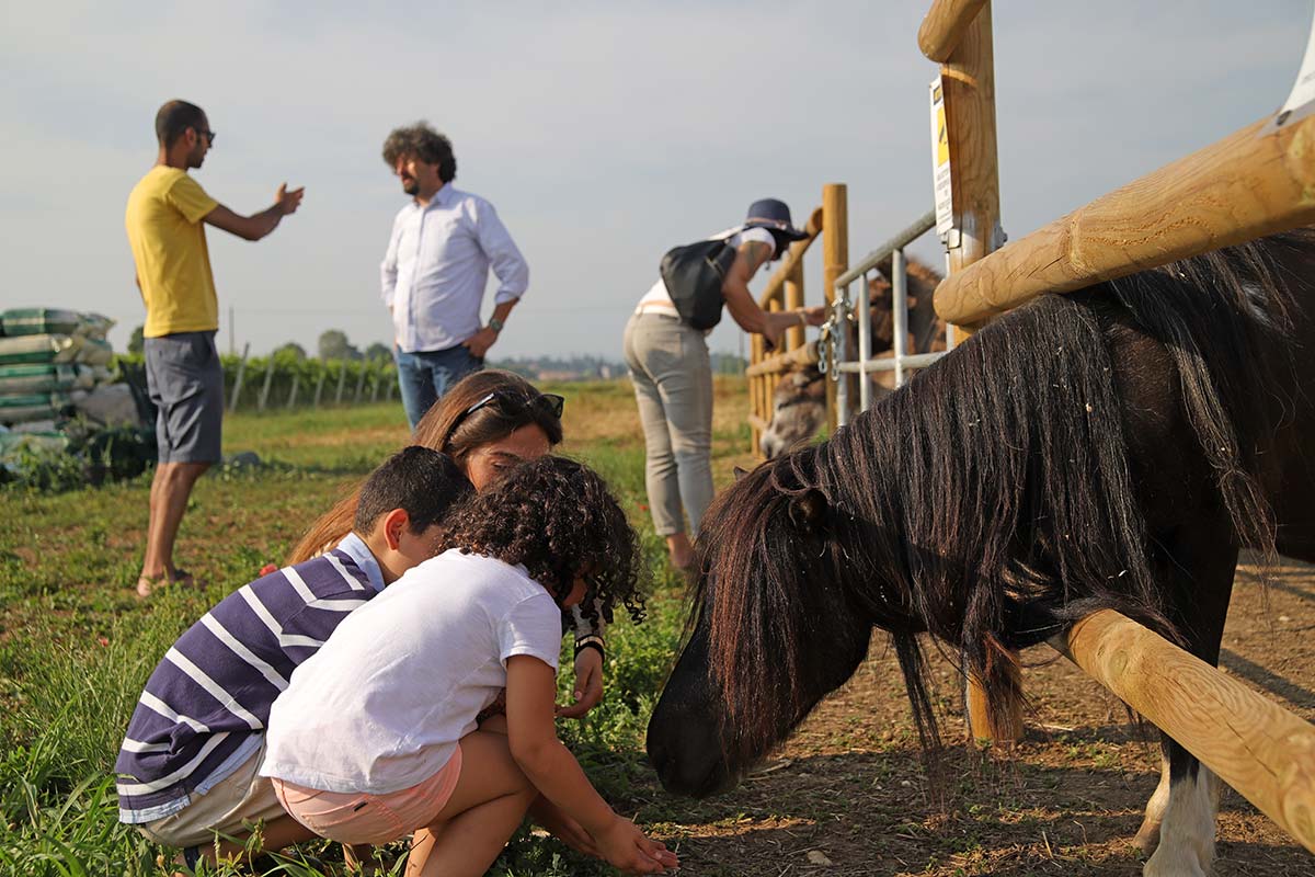 Biodynamic Farm and Natural Wines Tasting - Photo 3
