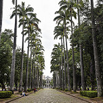 Tour em BH de 9hs – photo 3