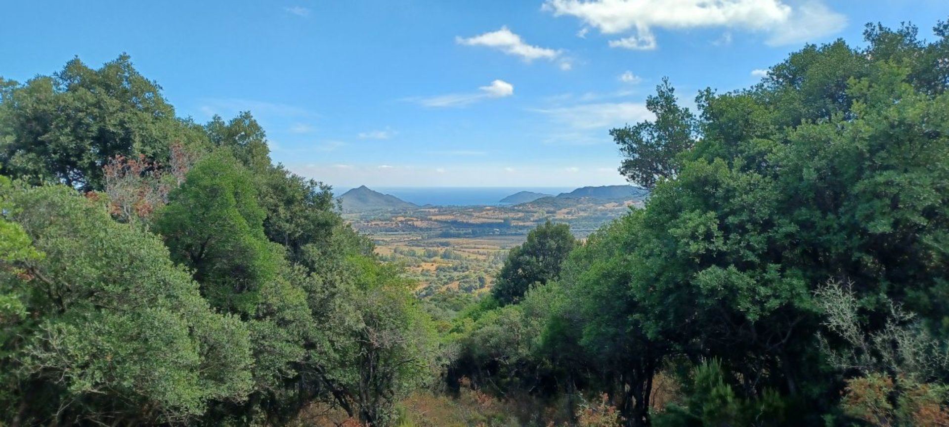 Castiadas: trekking in the S'Acqua Callenti forest - Photo 13