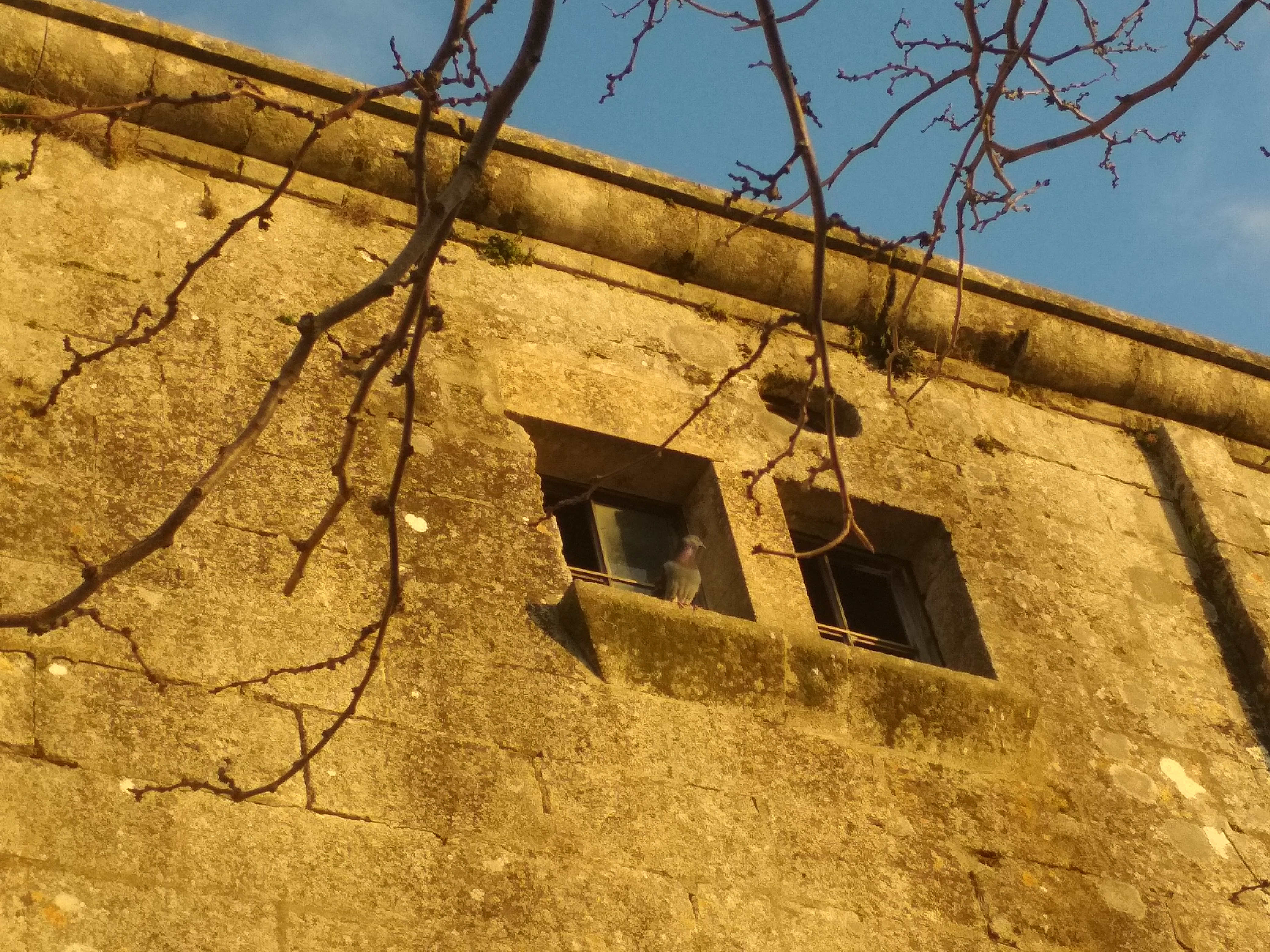Arles et Les-Baux-de-Provence...  the splendor of Provence lifestyle - Photo 8