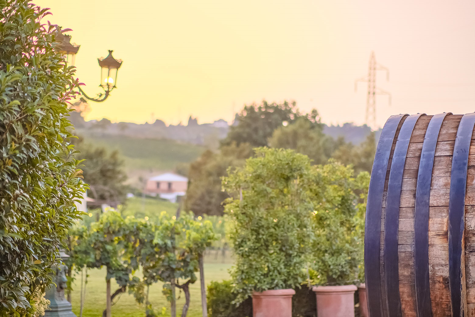 Small-Group Winery Tour with Tasting and Dinner in Chianti - Photo 93