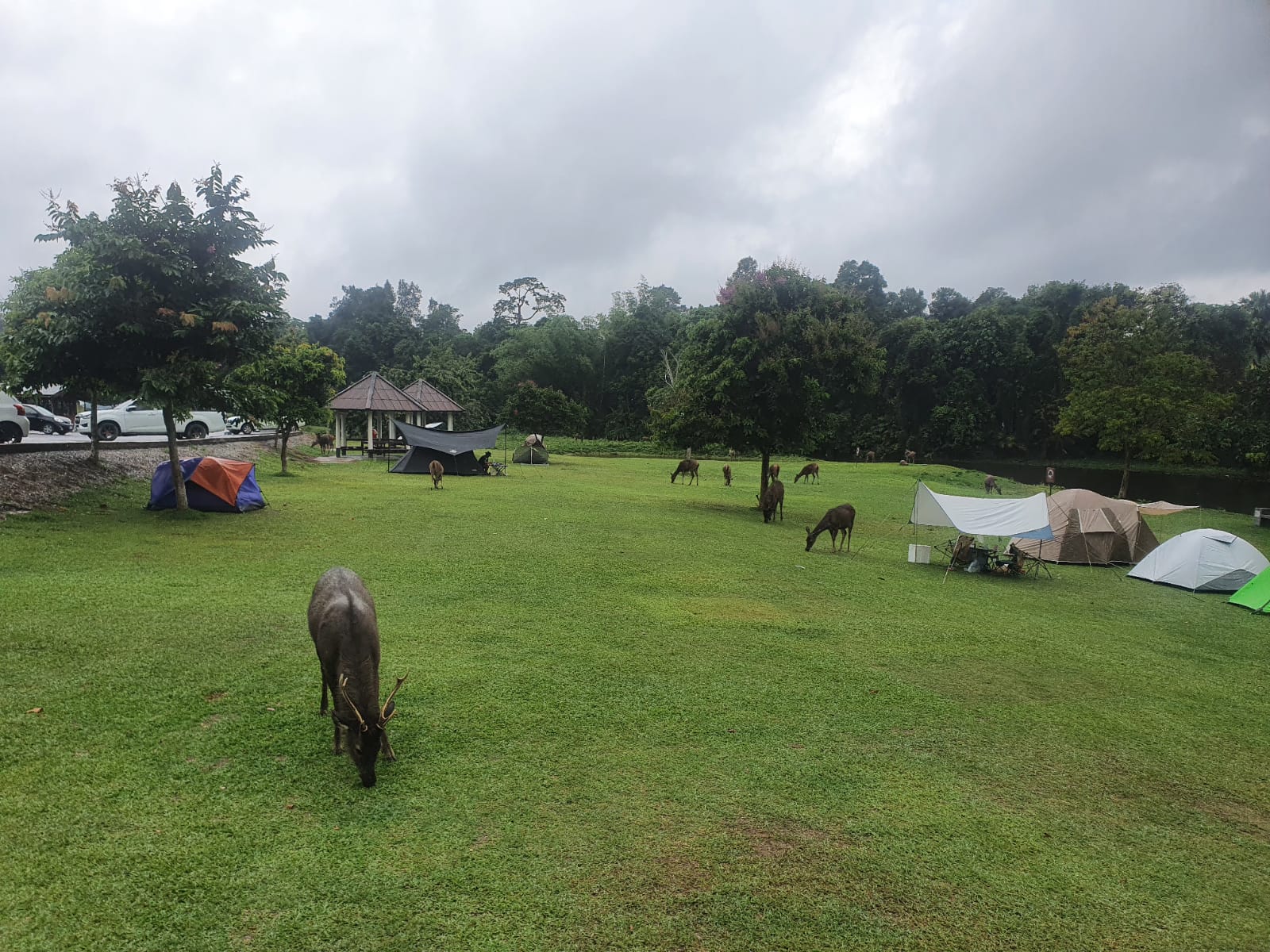 Khao Yai National Park Tour with Waterfalls from Bangkok: Semiprivate or Private Option with Pickup
 - Accommodations in Bangkok