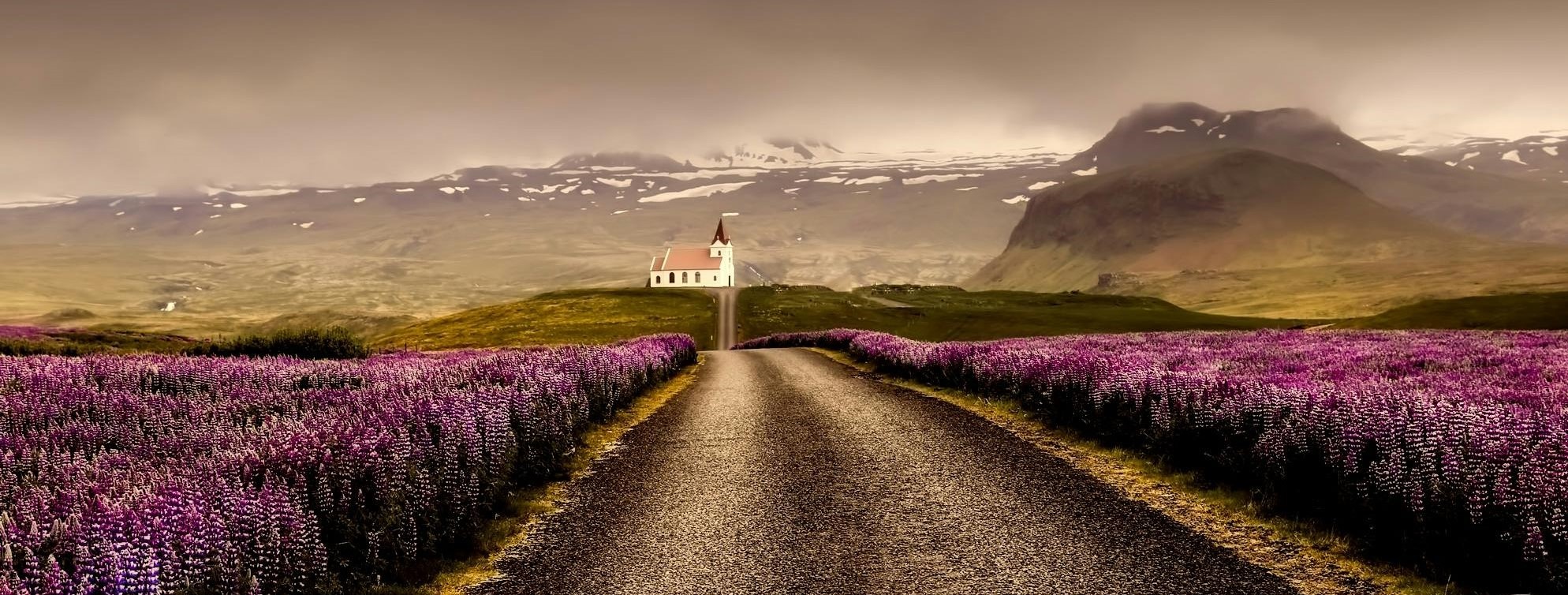 Iceland Solar Eclipse 2026 – Snæfellsnes Experience with Home-Cooked Dinner by Minibus - photo 3