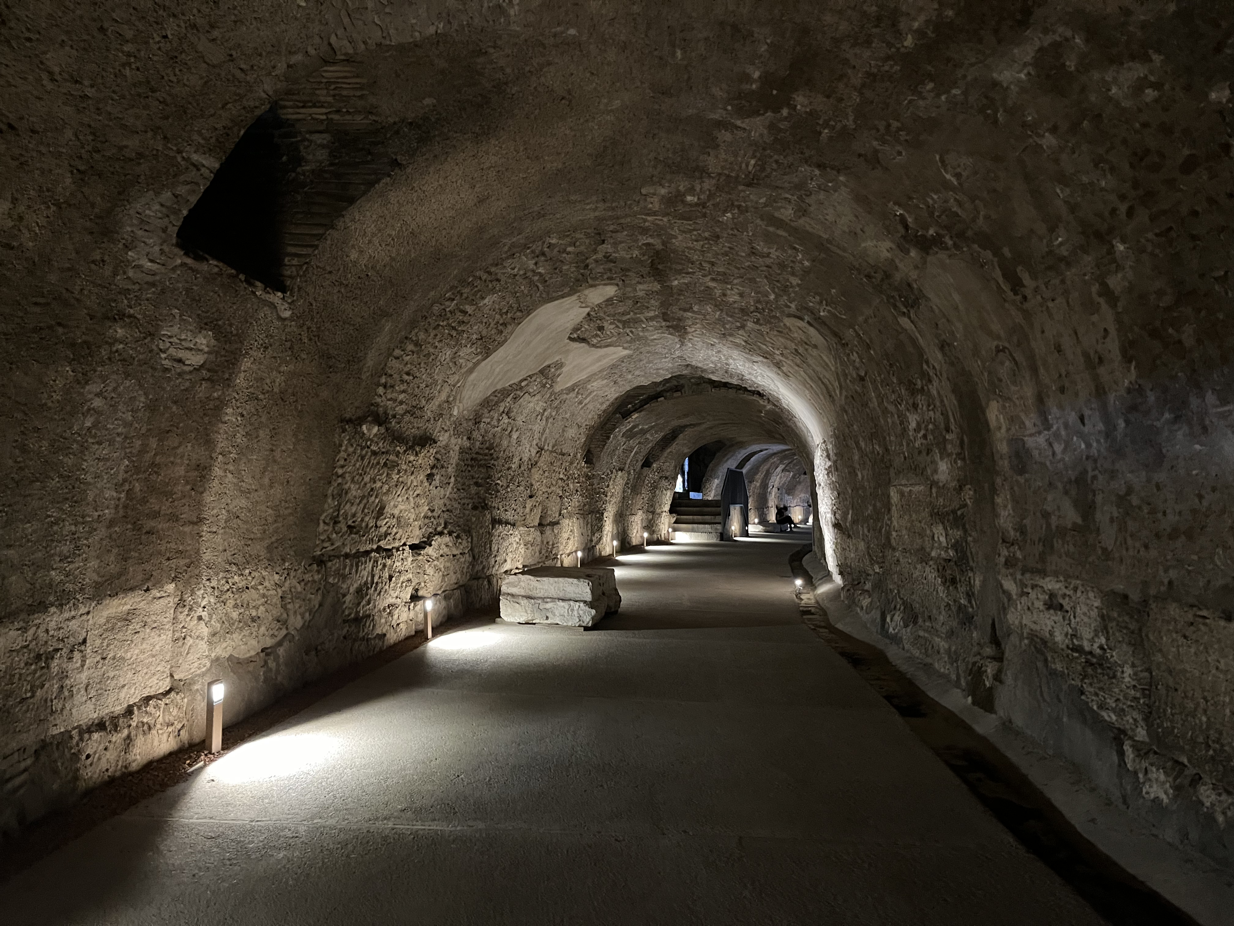  Roma: Colosseum, Forum, Palatine Entrance & immersive 3D digital audio guide - Photo 7
