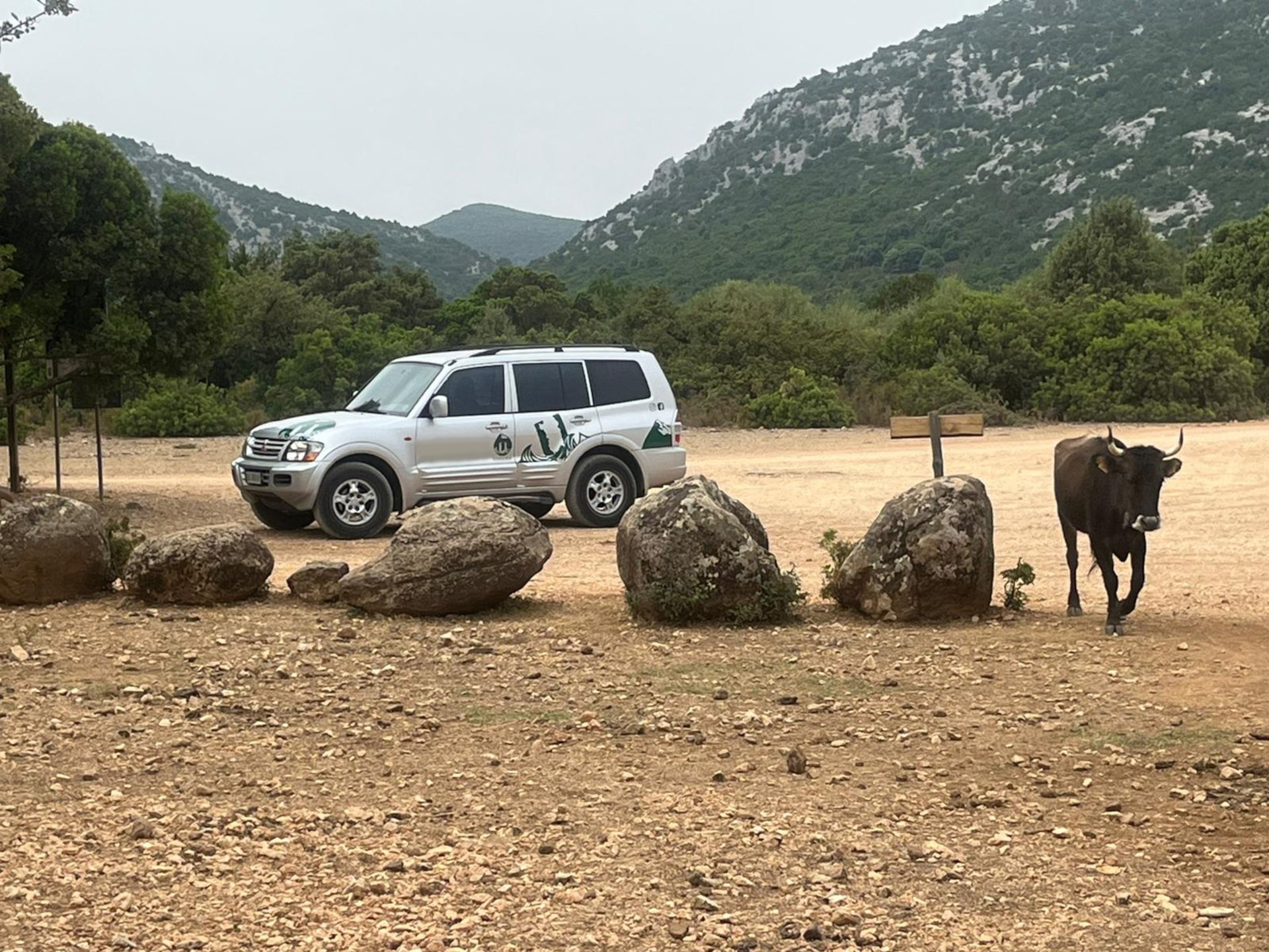 From Arbatax: 4-hour jeep tour of the Golgo Plateau in Baunei - Photo 3