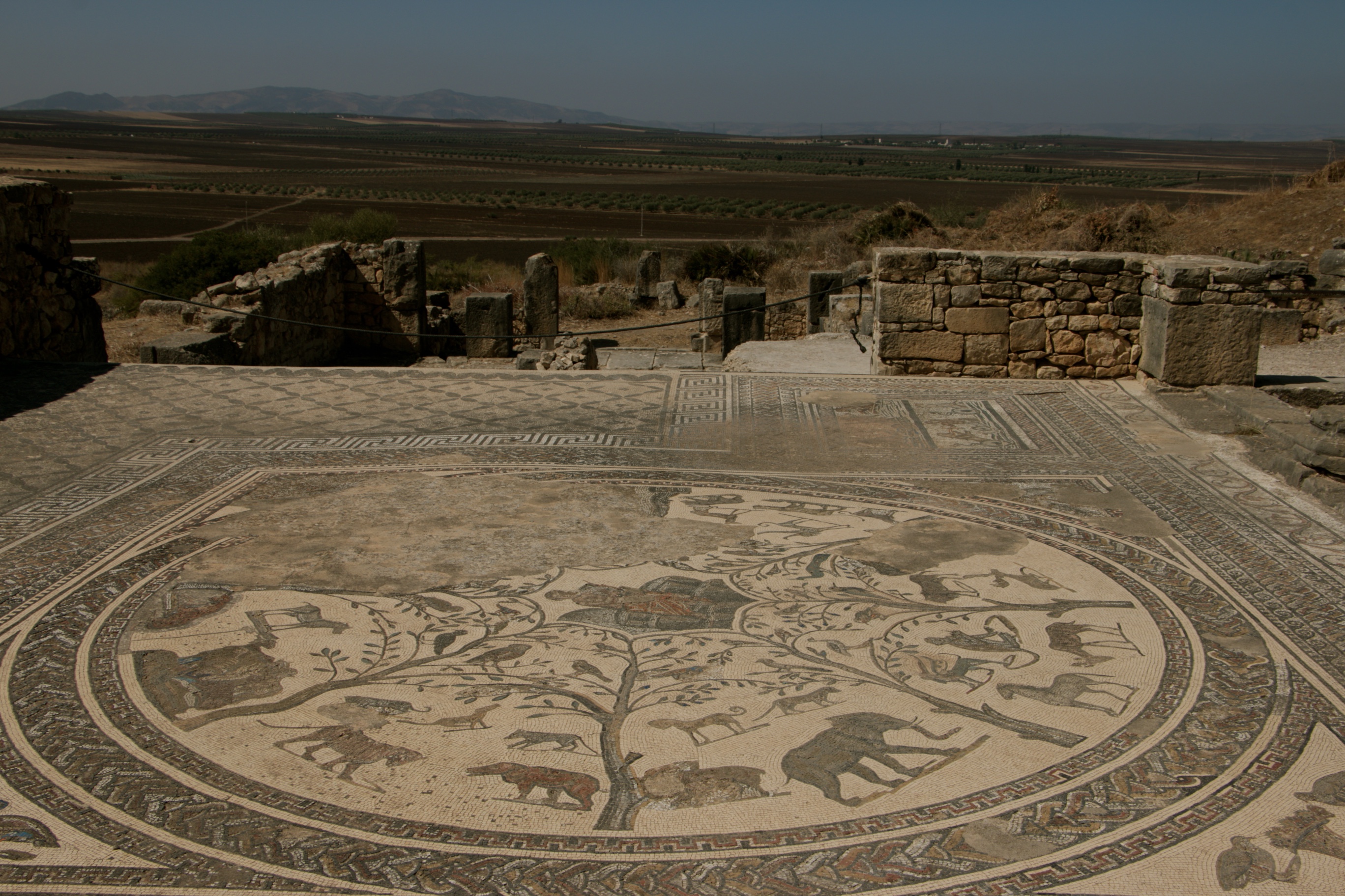 Meknès y ruinas romanas de Volubilis: tour privado desde Fez