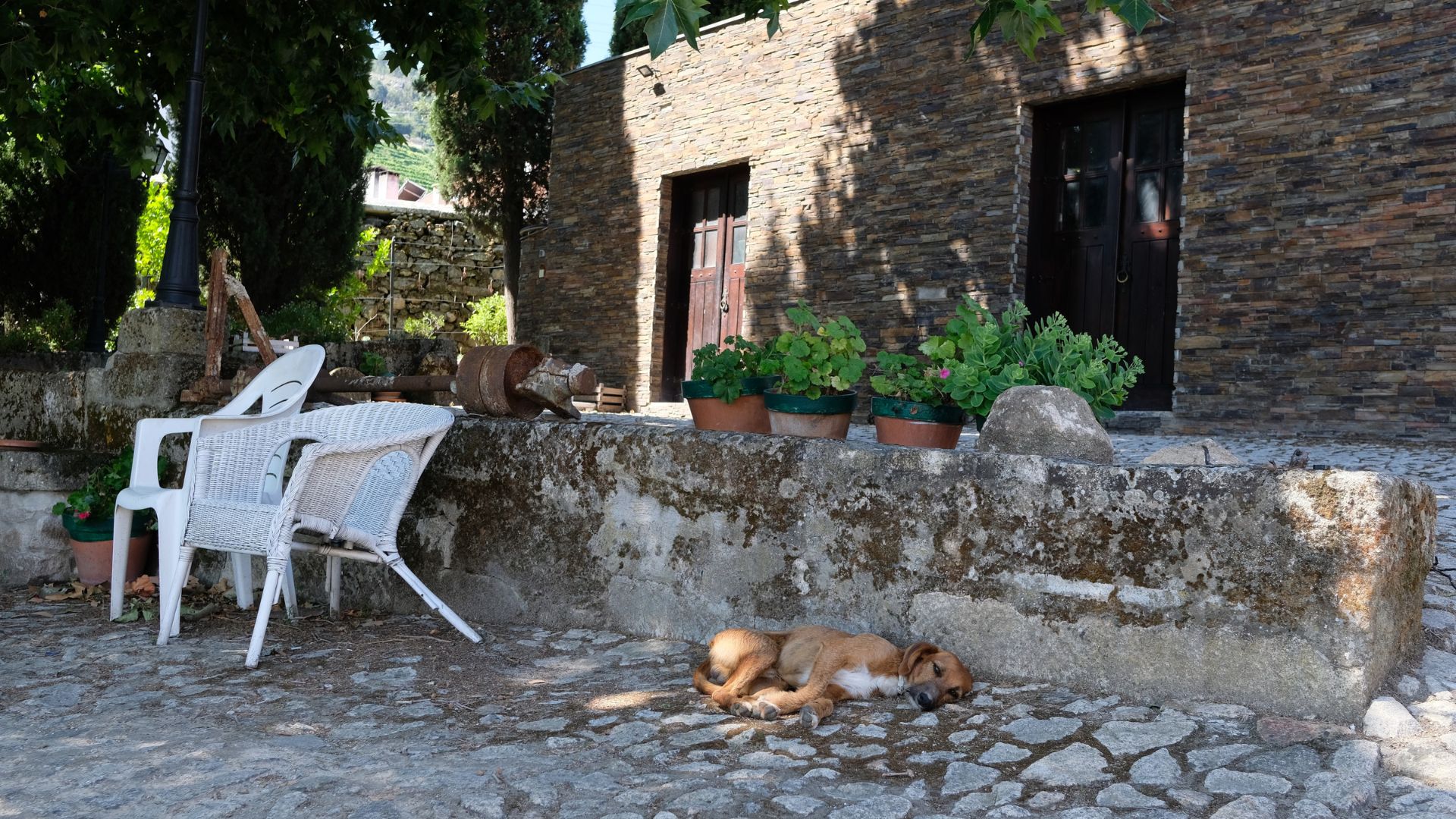 Douro Valley Small Group Tour with Wine Tastings, Lunch and River Cruise  - Photo 22