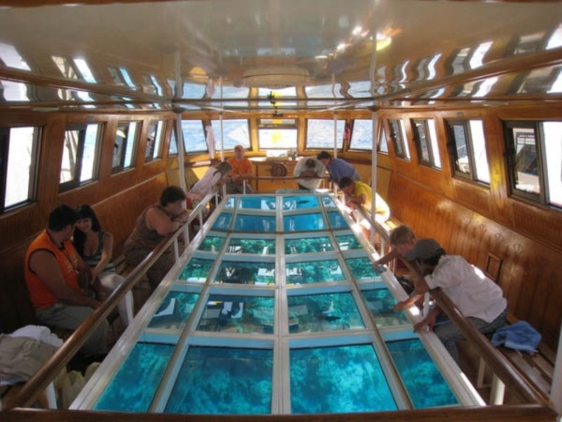 Tour privado en barco con fondo de cristal: explore las maravillas del Mar Rojo "solo su grupo"