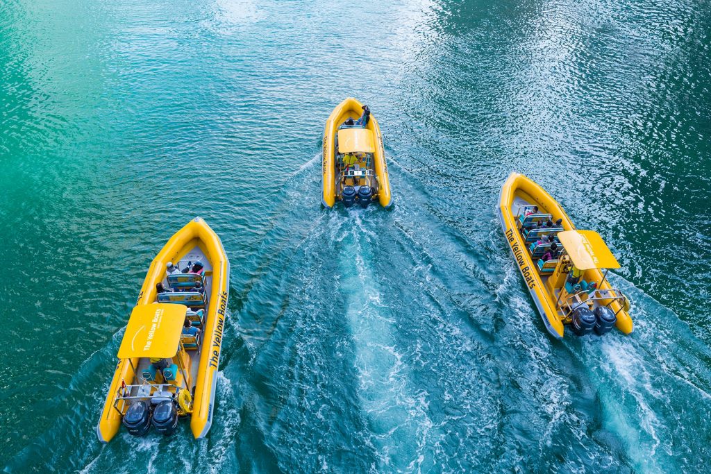 The Yellow Boats – Image 3 | WeShare