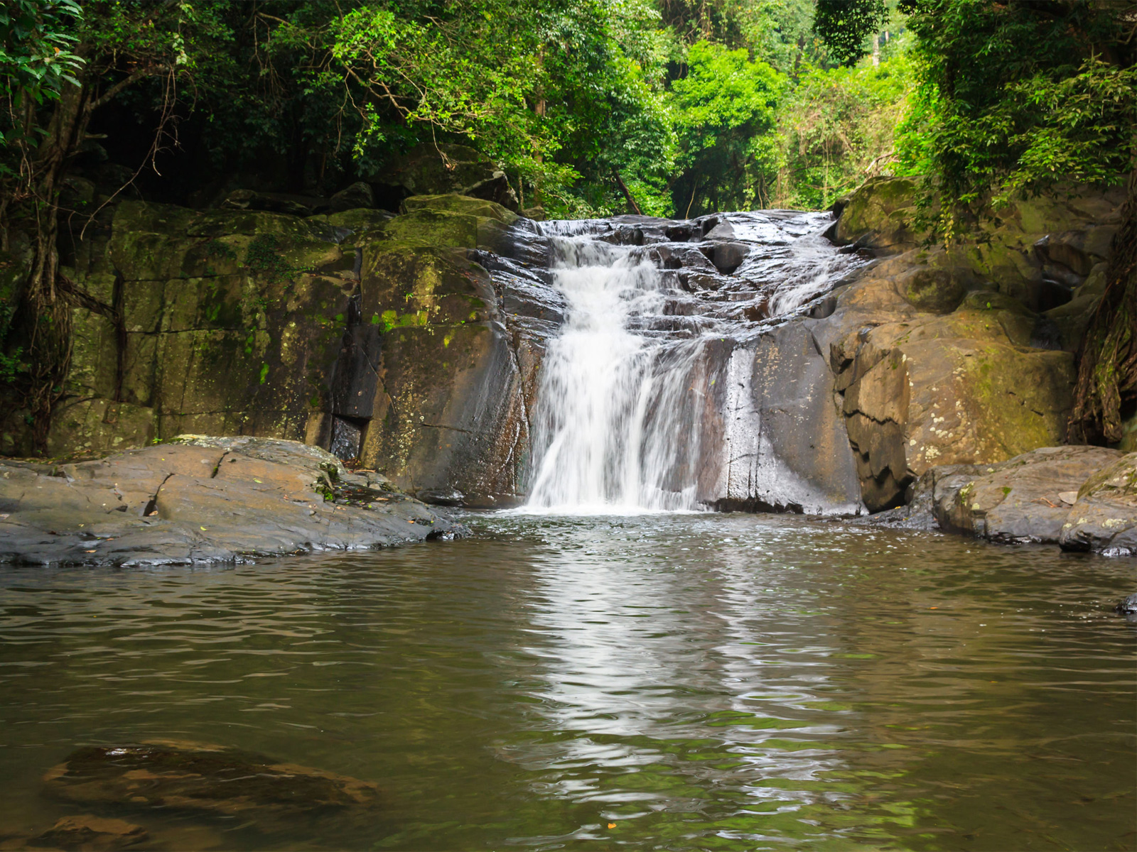Caminata por la jungla de la cascada Pala-U en Kaeng Krachan con guía turístico privado
