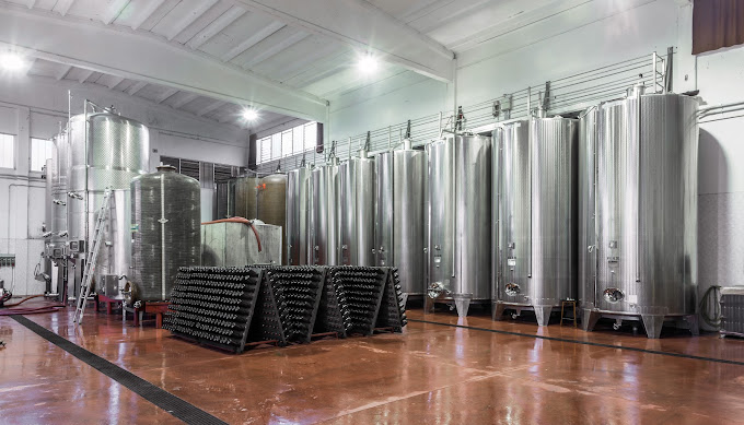 Tour and tasting of Sparkling local Wines in Valeggio - Photo 7