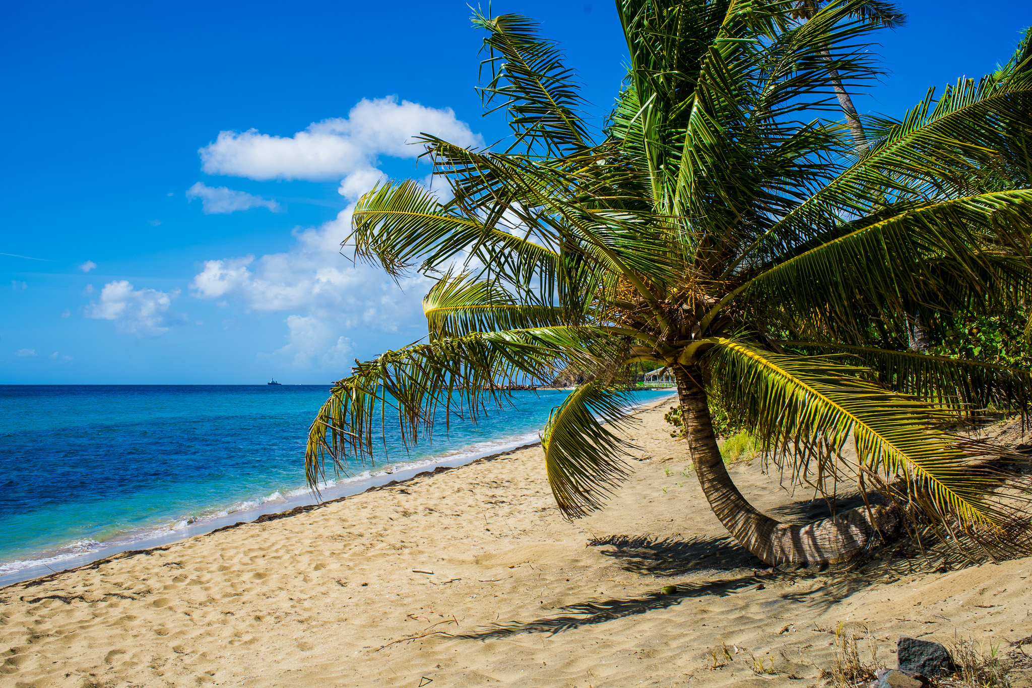 St. Kitts Photography Tours - The Best Photo Spots in St. Kitts