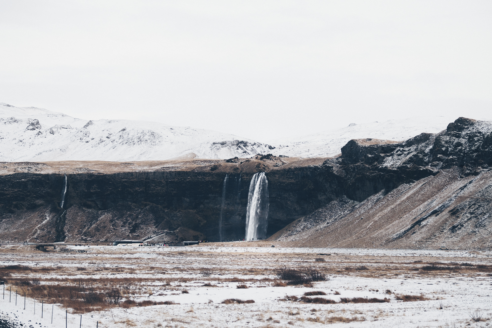 South Coast & Black Sand Horse Riding Tour - photo 5