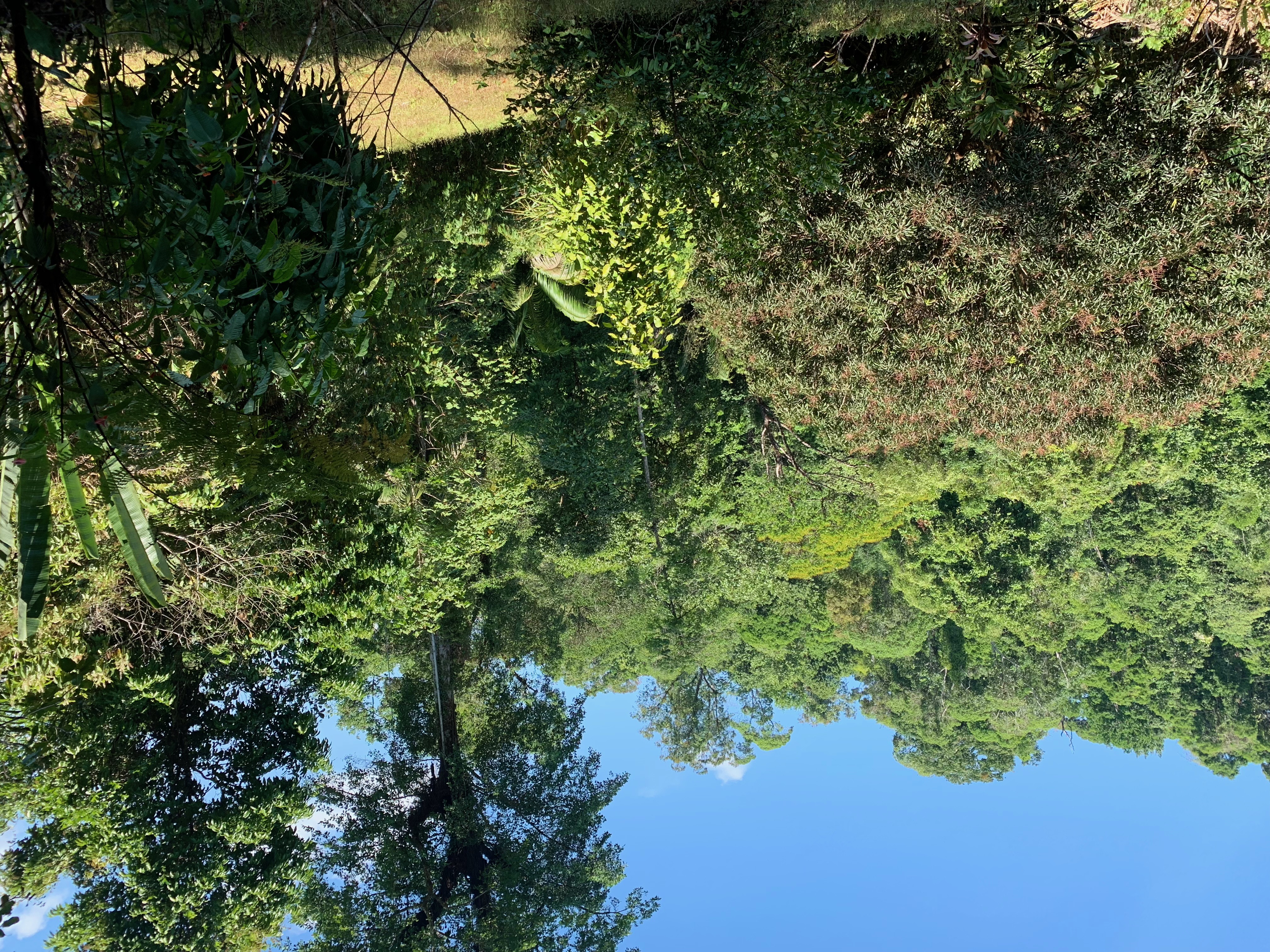 Paraiso verde Corcovado Day Tour 7