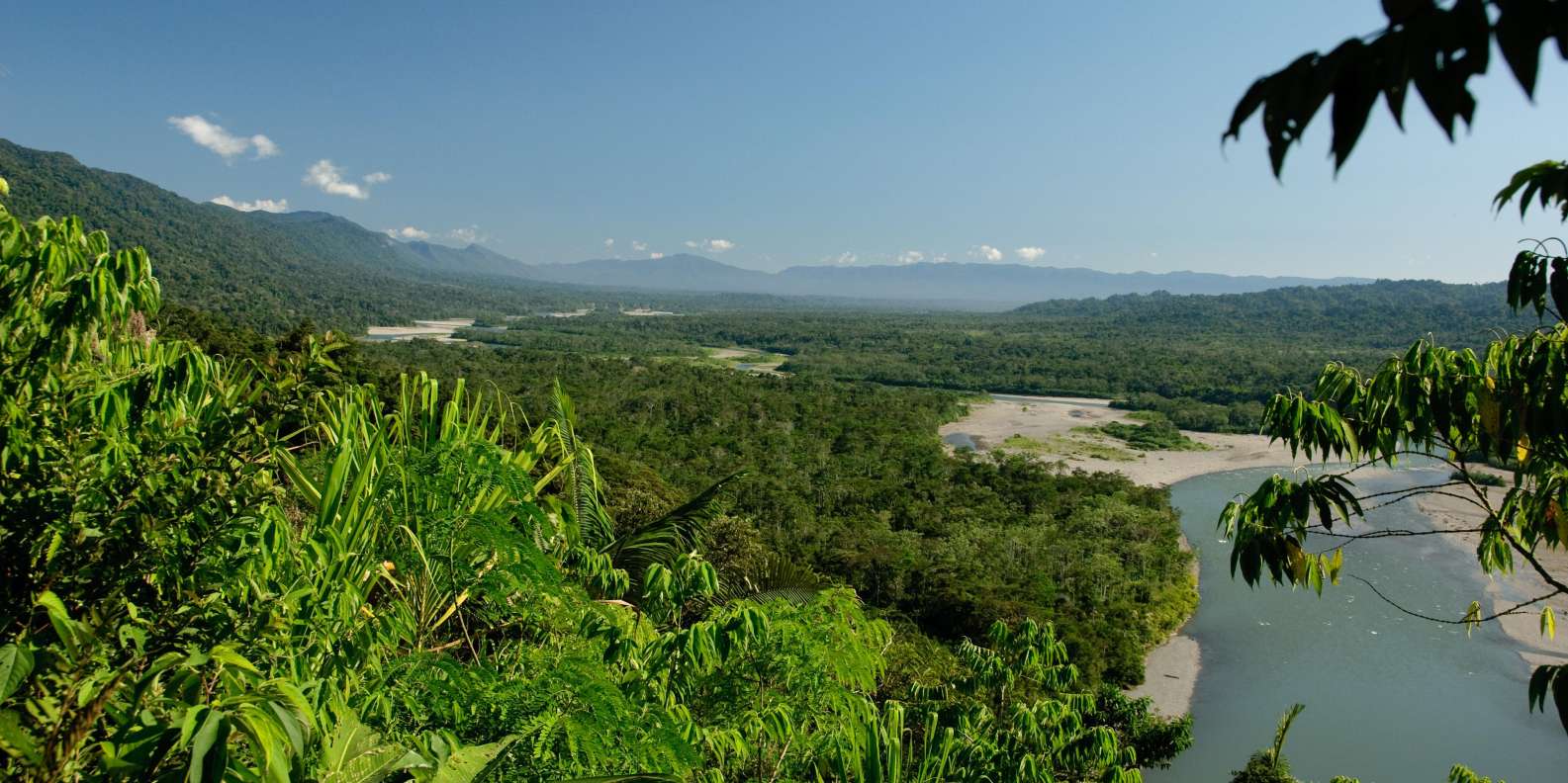 Pmal-01 : Los Secretos de Sandoval- 2 Días en la Selva de Tambopata - Foto 4
