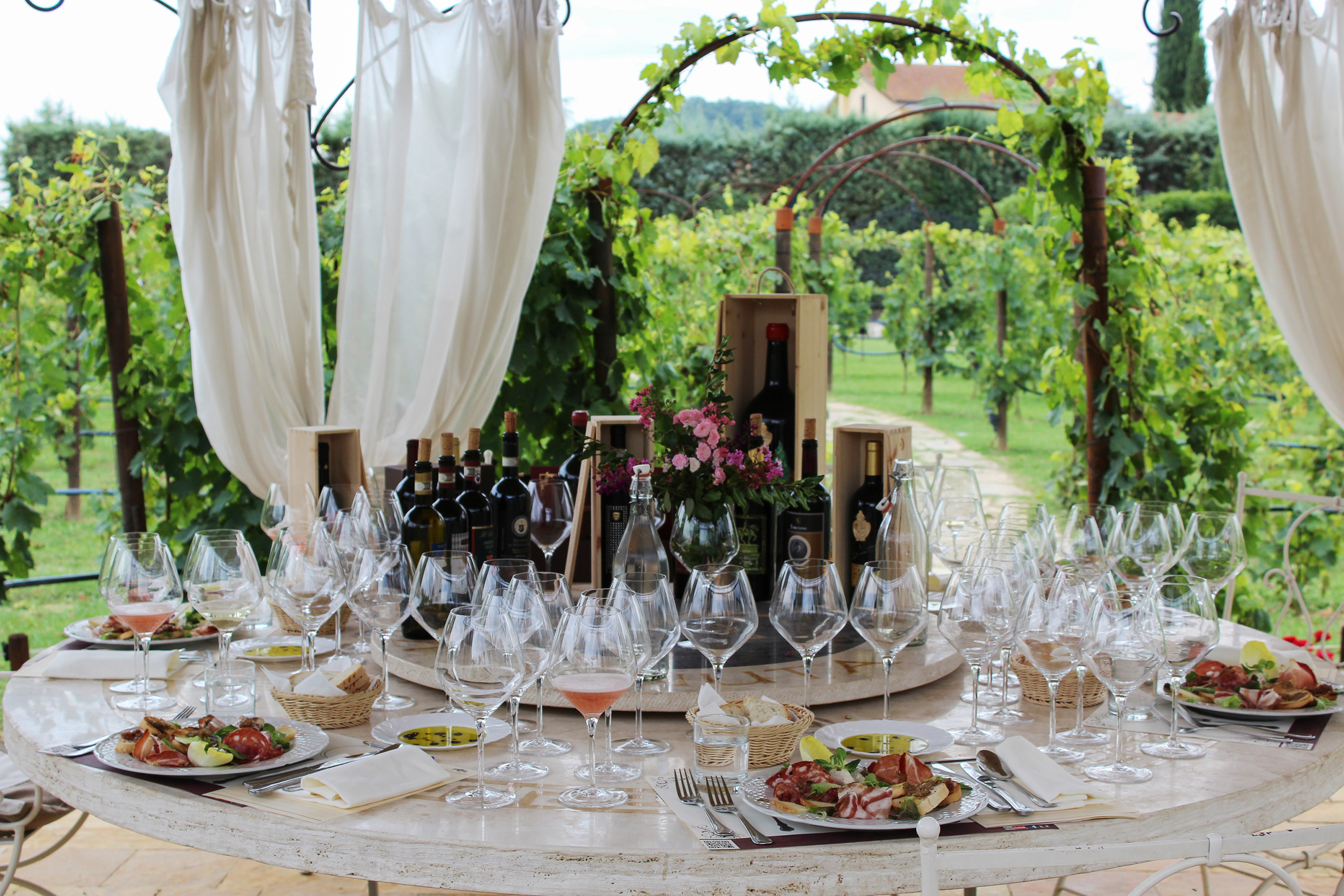 Vineyard Canopy Dinner & Wine Tasting in San Gimignano countryside - Photo 2