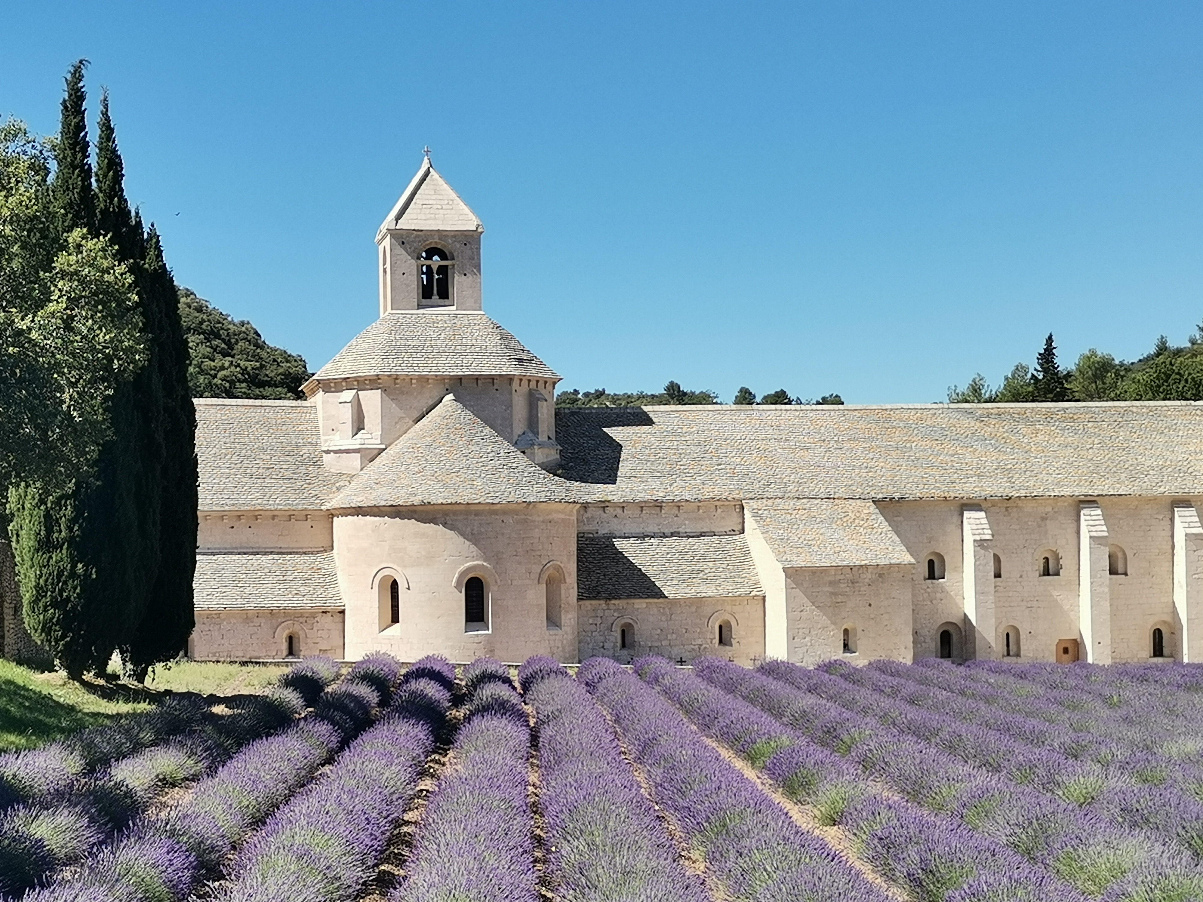 Provençal Picnic Tour - Photo 7