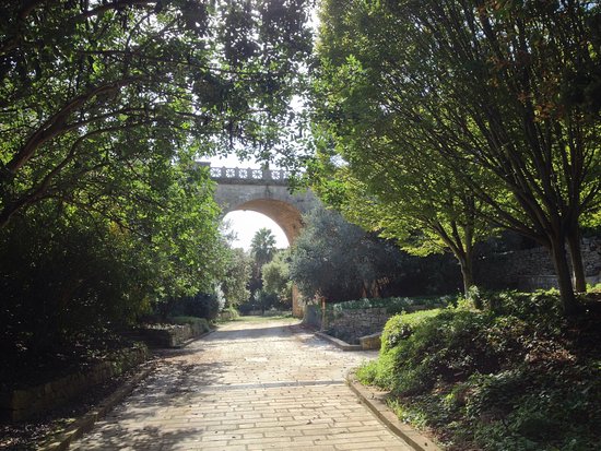Villa Castelli: Highlights Walking Tour w/ Olive Oil Tasting - Photo 14