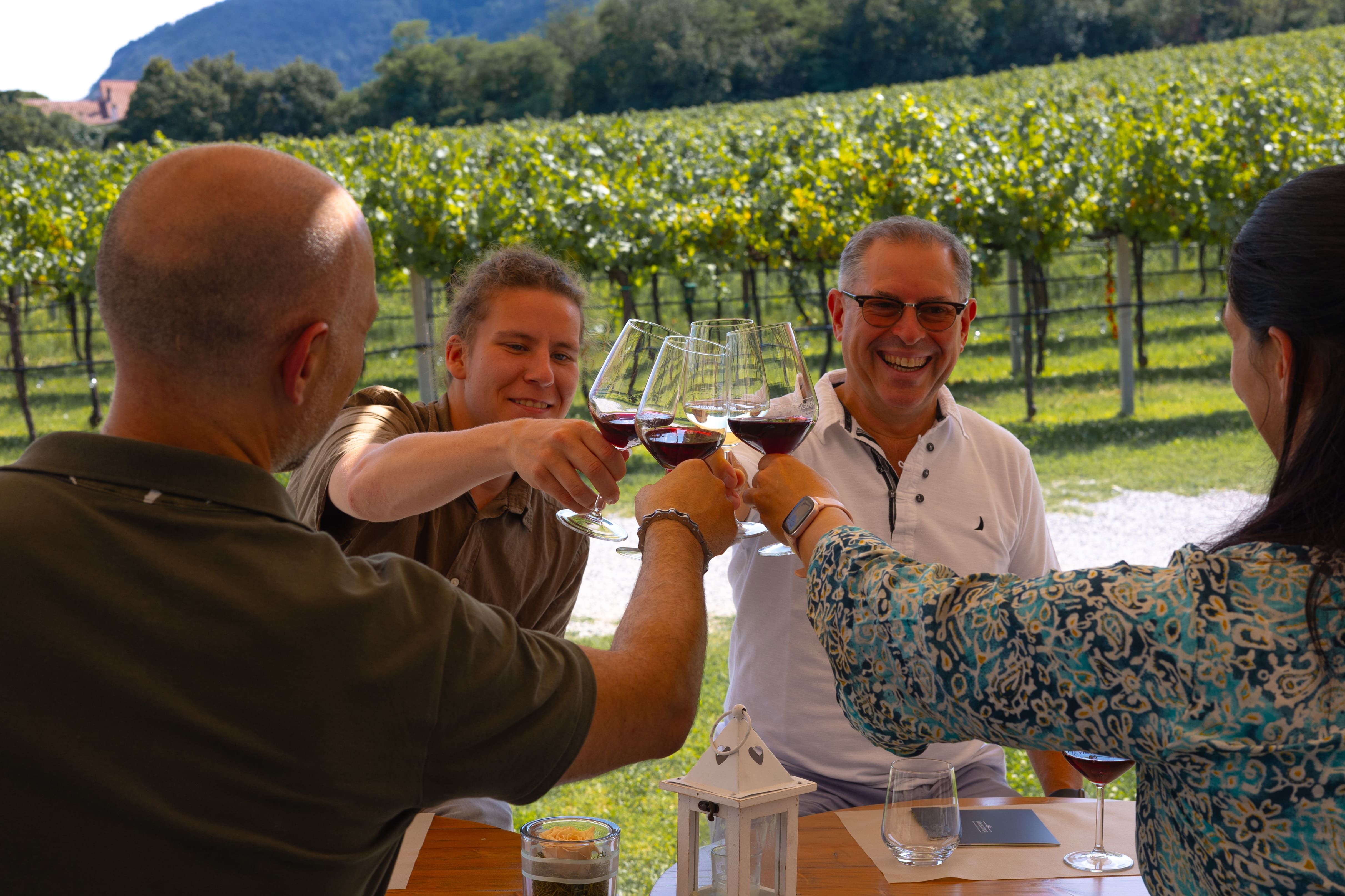Olive Oil & Wine in the Euganean Hills - Photo 8