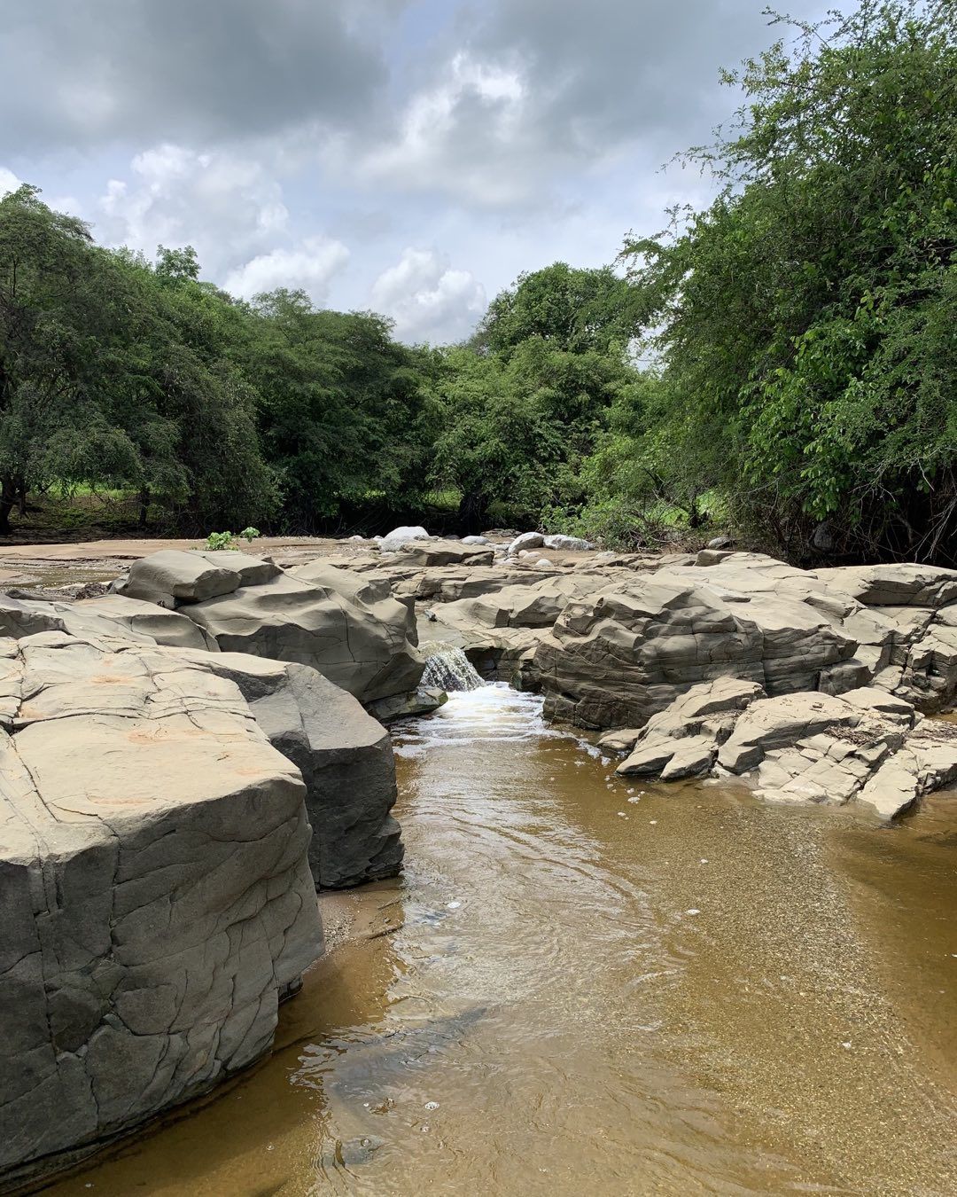 Tum-03 : Parque Nacional Cerros de Amotape - Hacia lo Salvaje - Foto 3