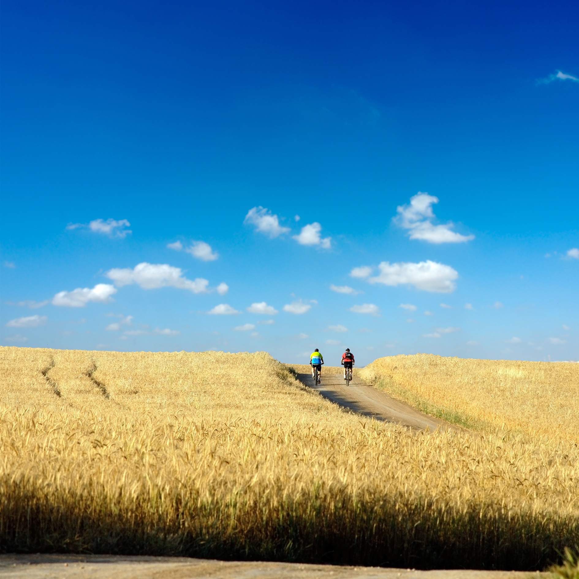 Tuscany e-bike tour from Siena - Photo 11